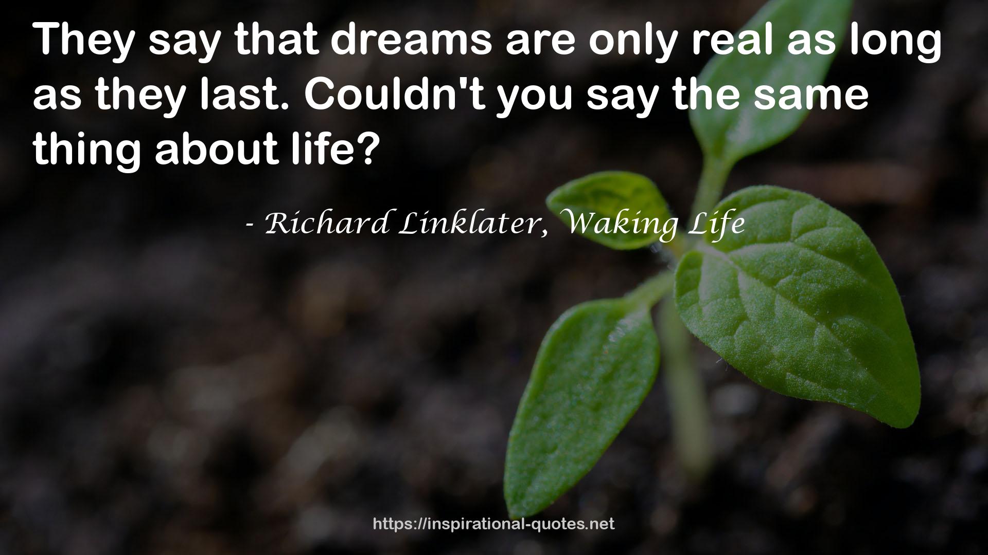 Richard Linklater, Waking Life QUOTES