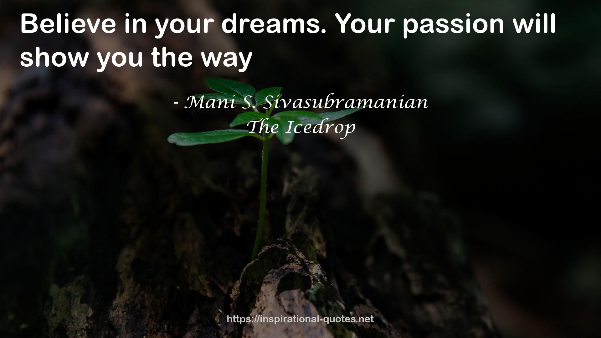 Mani S. Sivasubramanian QUOTES