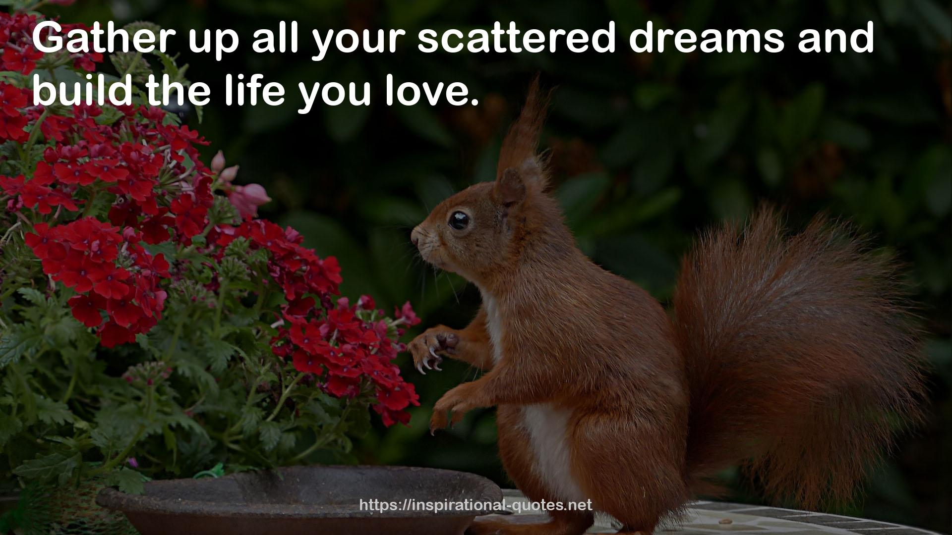 all your scattered dreams  QUOTES