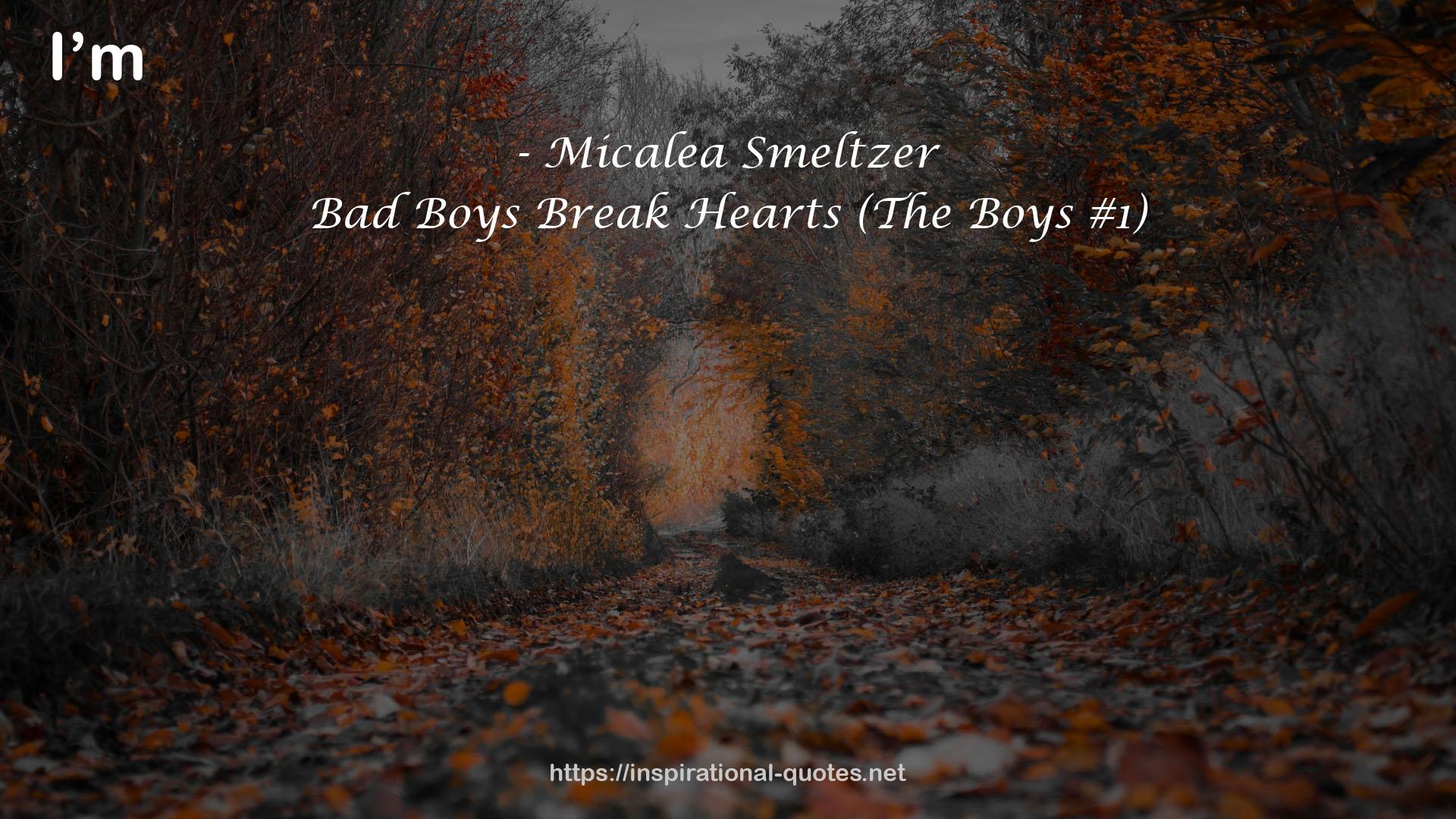 Bad Boys Break Hearts (The Boys #1) QUOTES