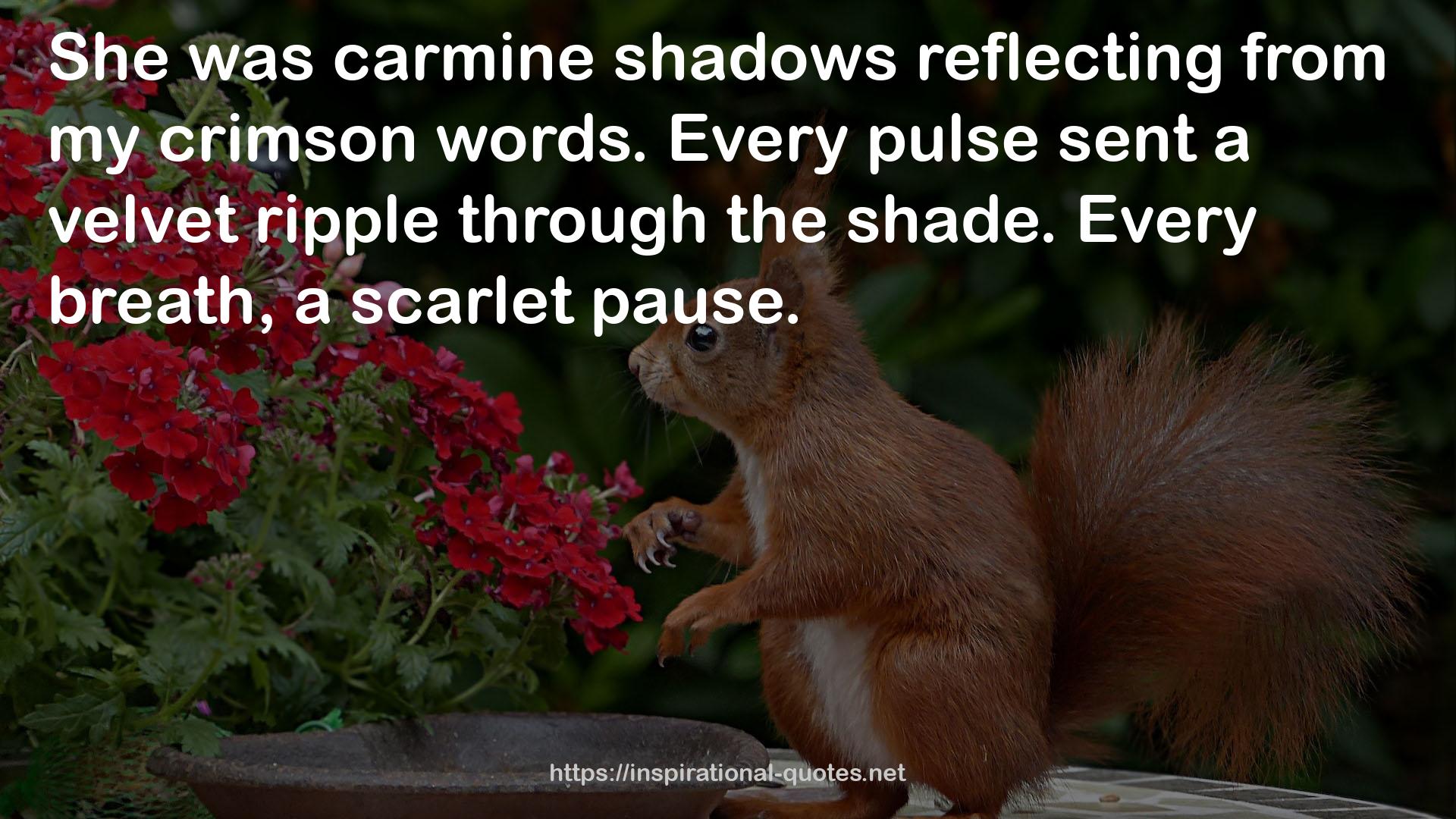 carmine shadows  QUOTES