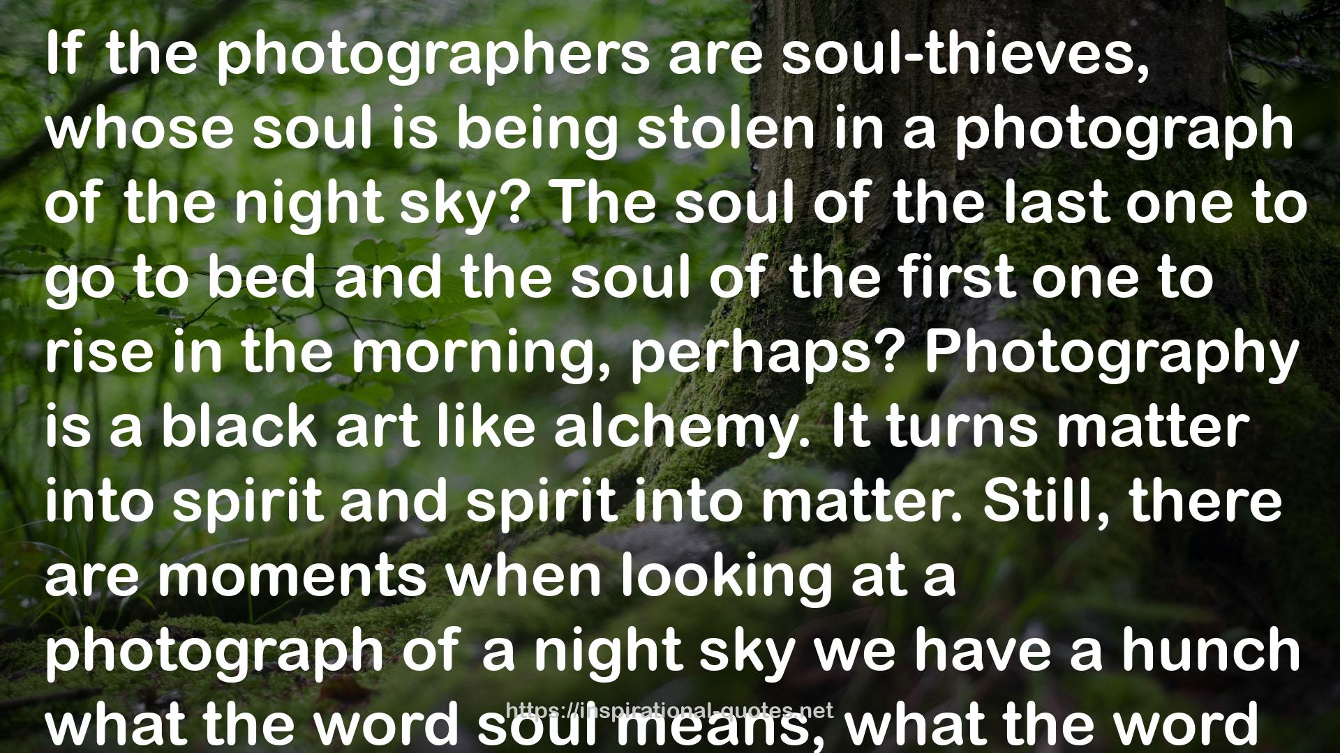 The Life of Images: Selected Prose QUOTES