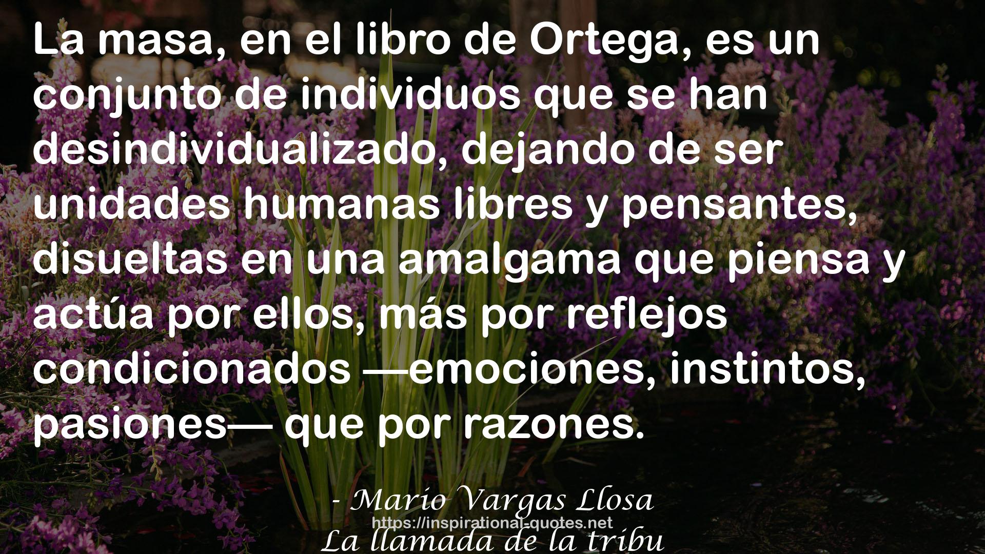 Mario Vargas Llosa QUOTES