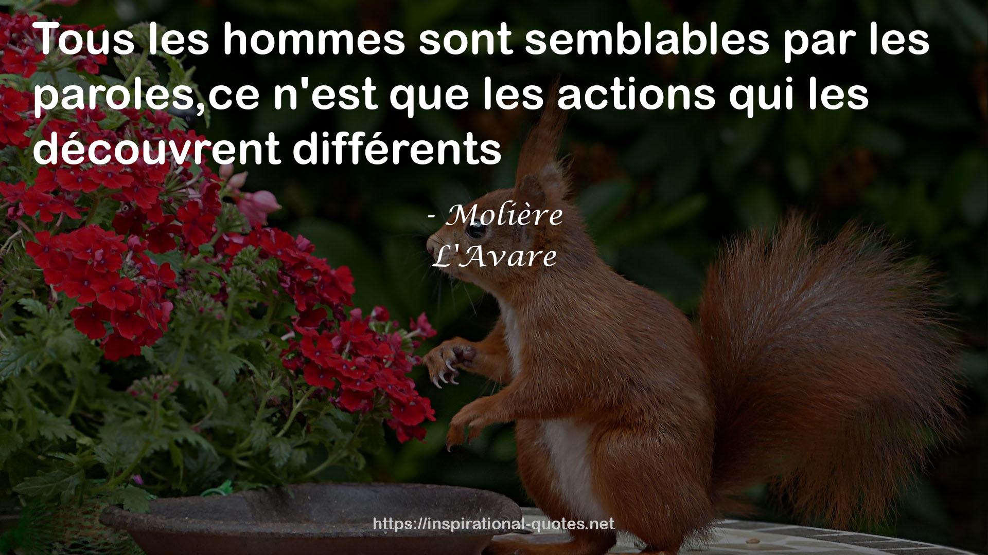 L'Avare QUOTES