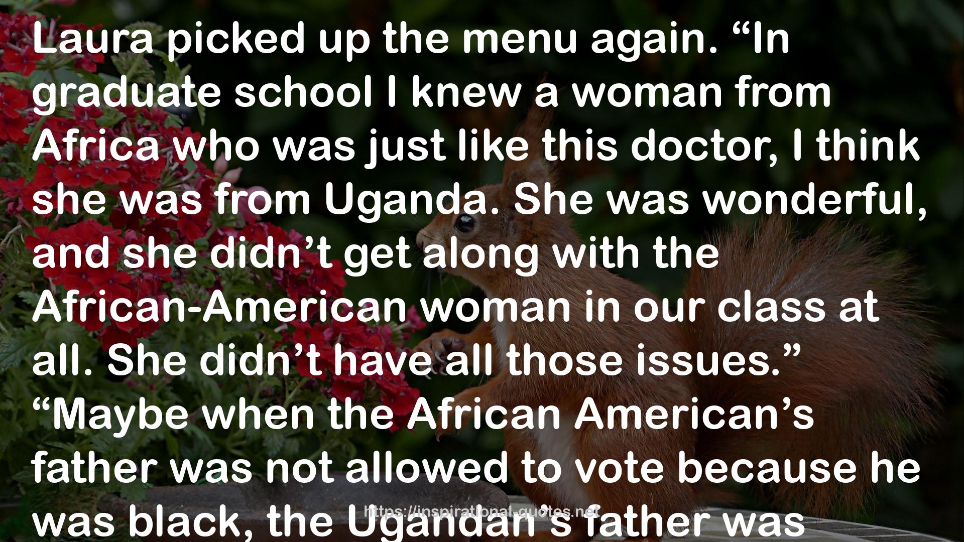 Americanah QUOTES