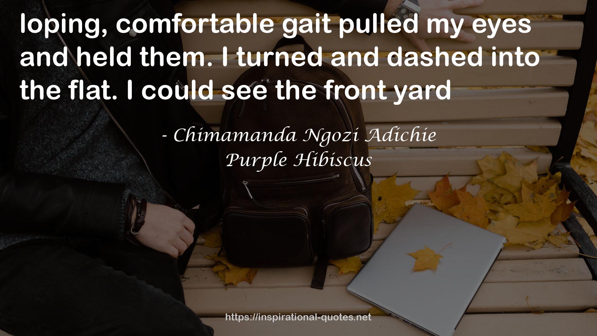 Purple Hibiscus QUOTES