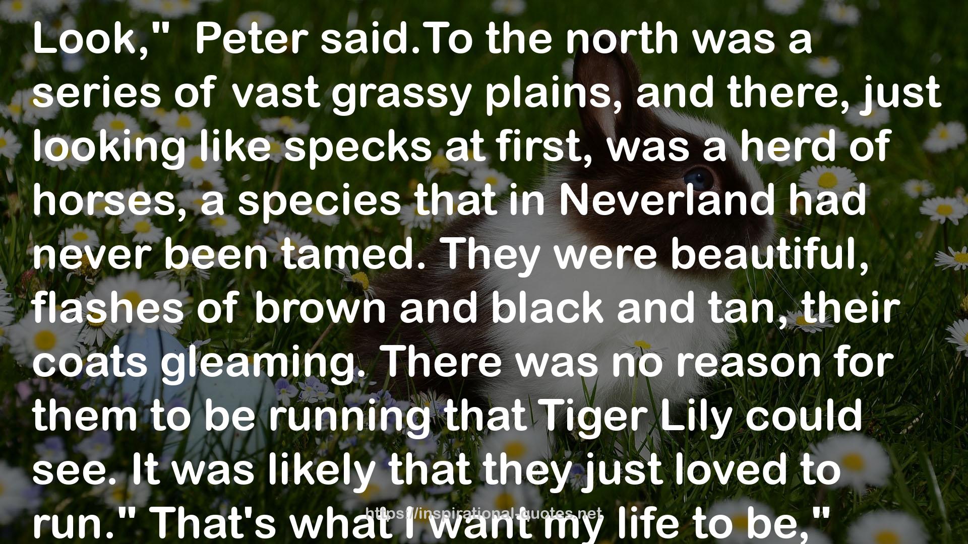 Tiger Lily  QUOTES