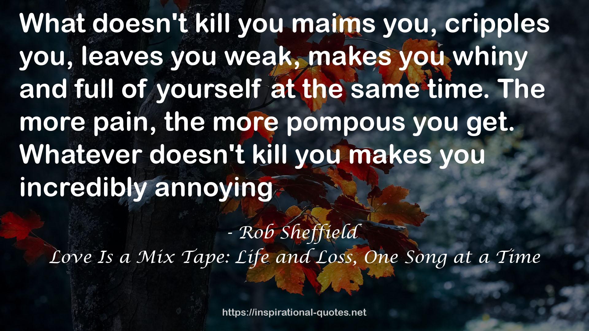 Love Is a Mix Tape: Life and Loss, One Song at a Time QUOTES