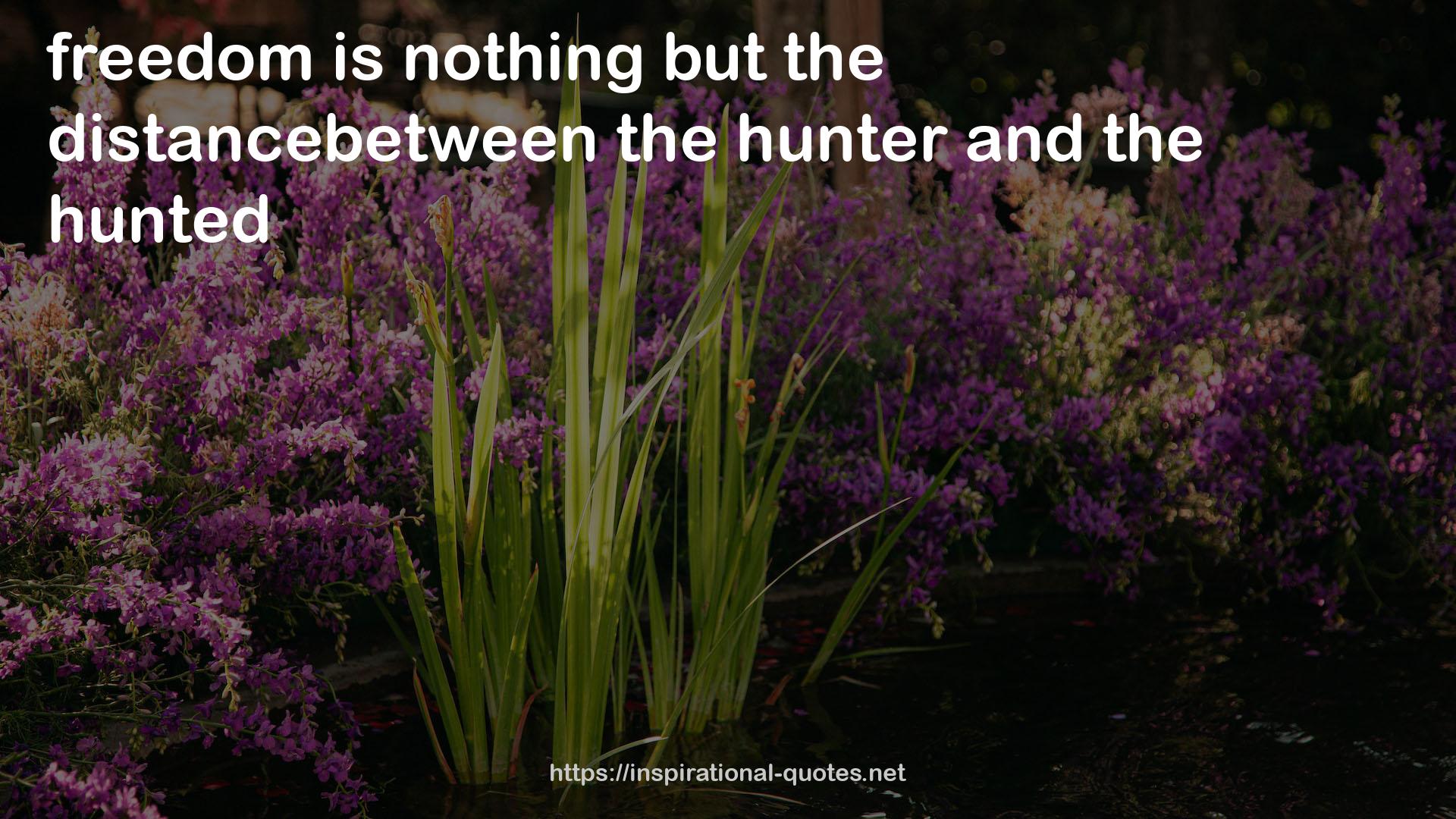 the hunter  QUOTES