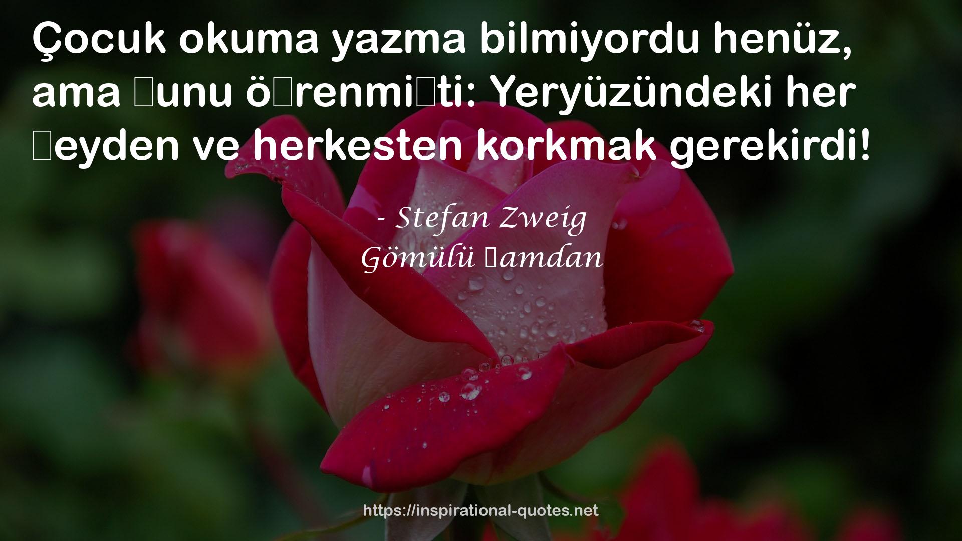 Gömülü Şamdan QUOTES