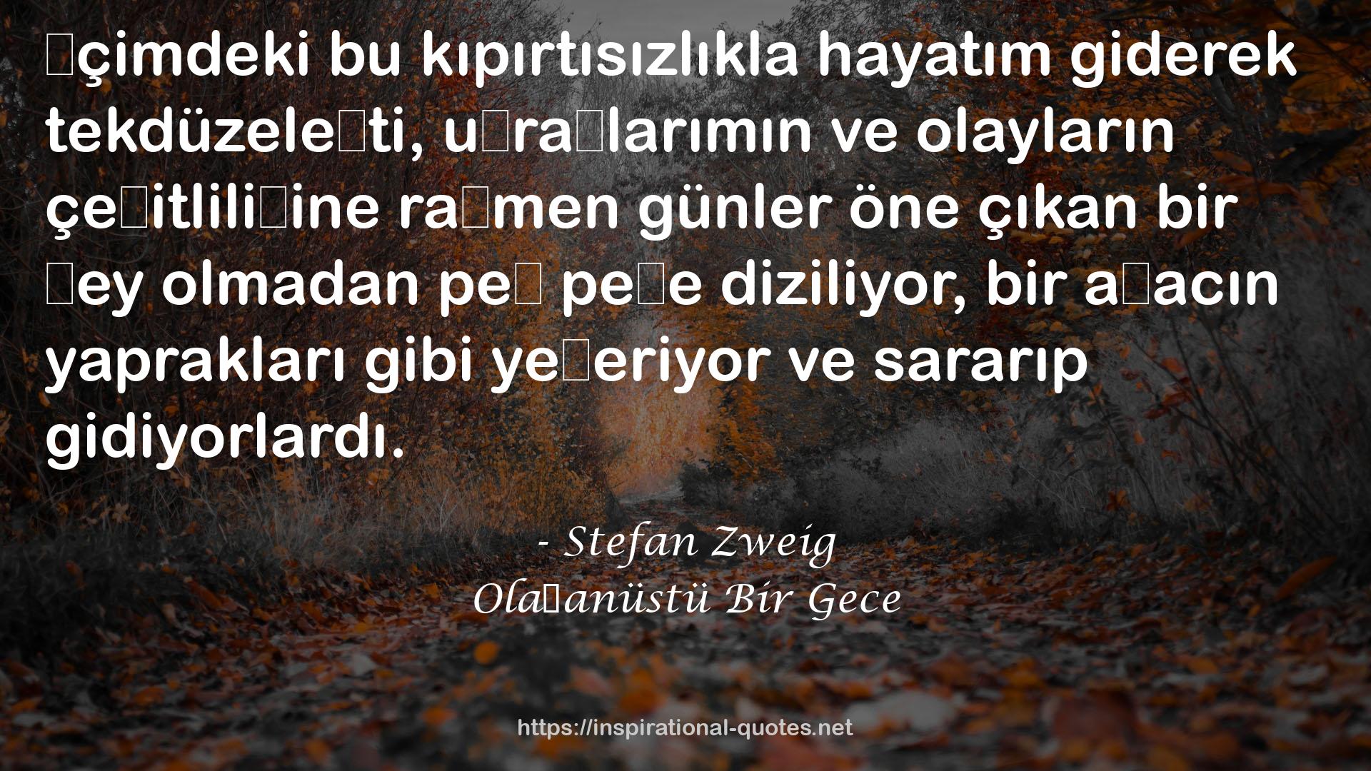 Olağanüstü Bir Gece QUOTES