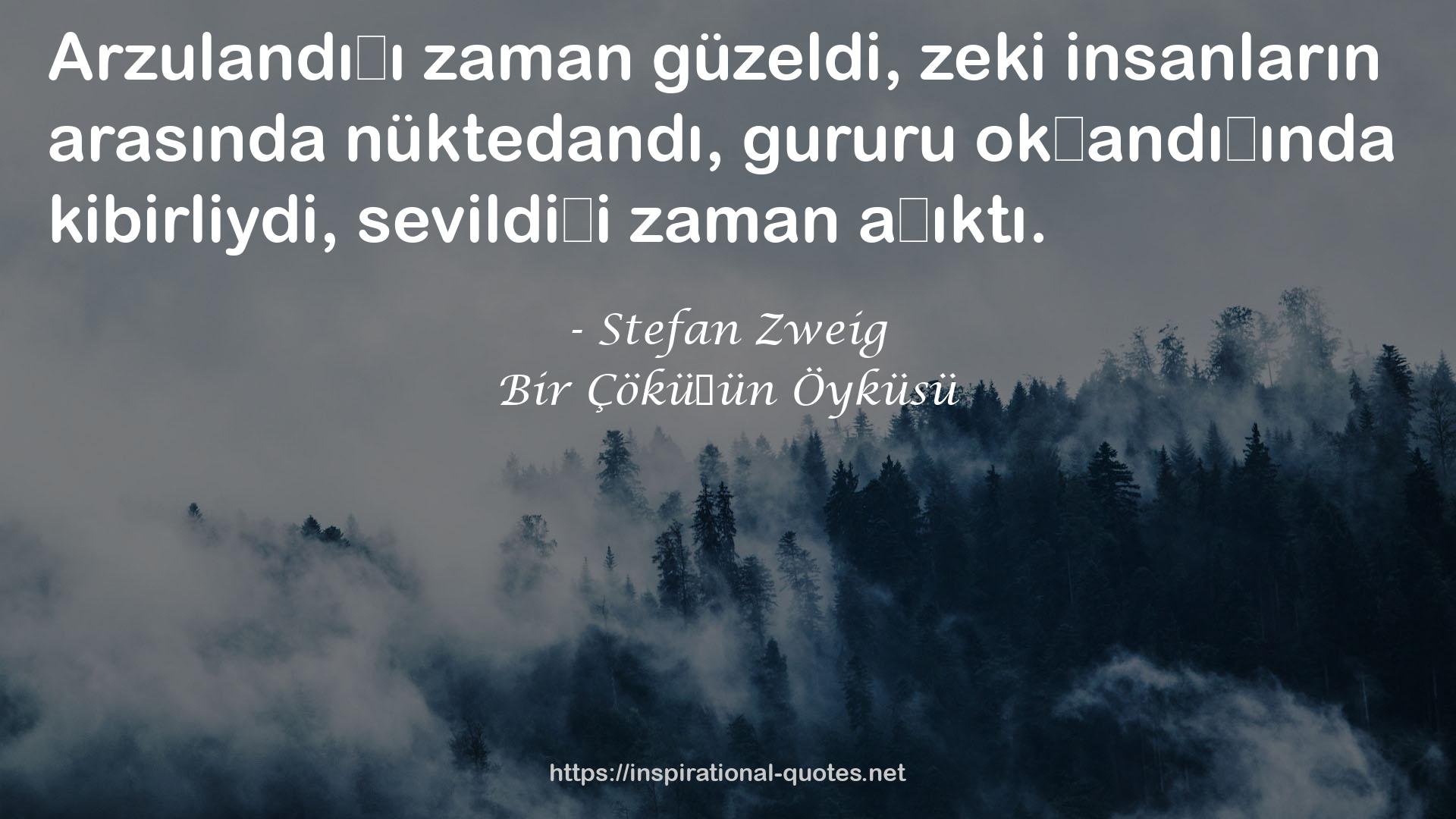 Bir Çöküşün Öyküsü QUOTES