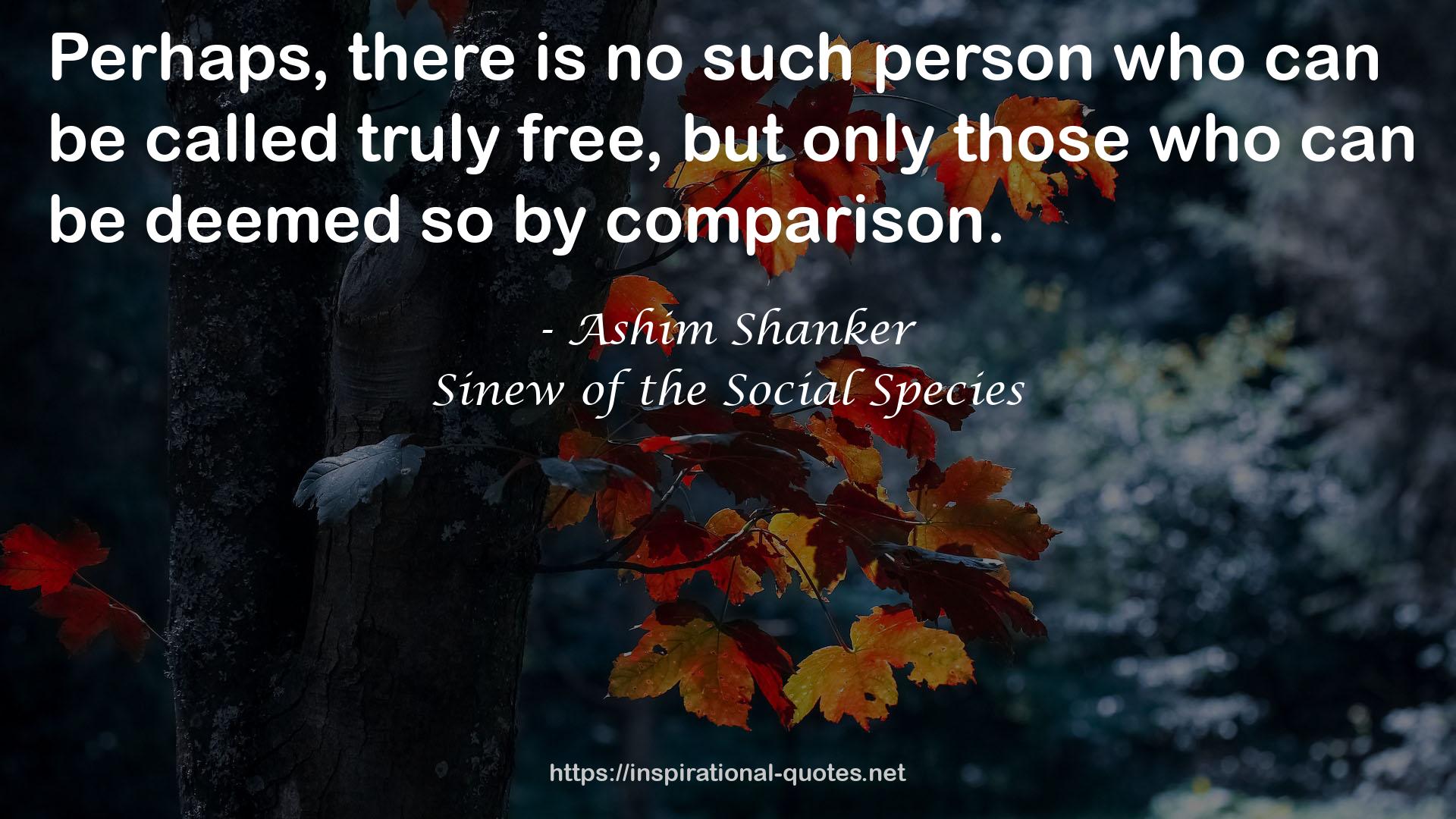 Sinew of the Social Species QUOTES
