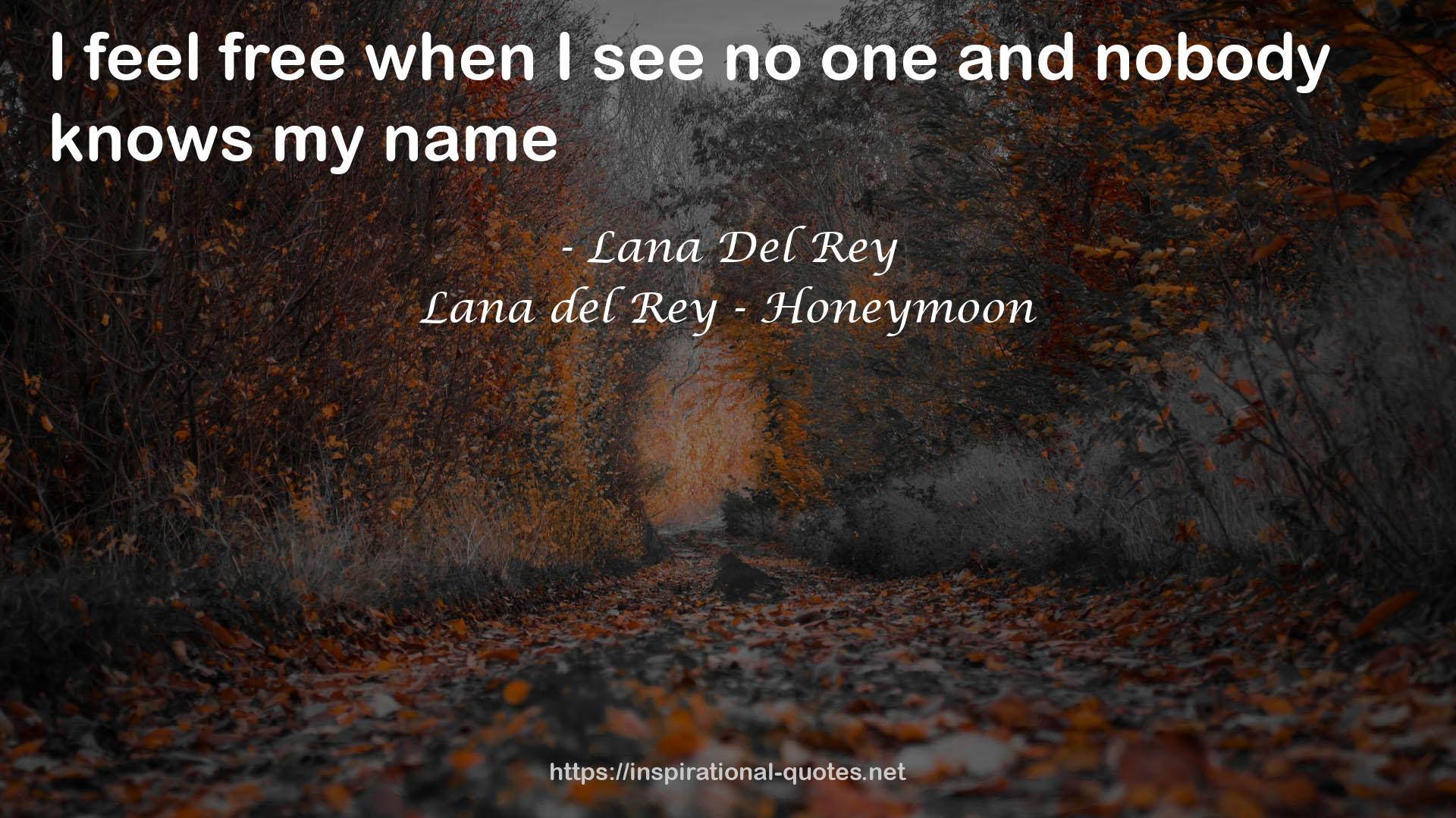 Lana del Rey - Honeymoon QUOTES