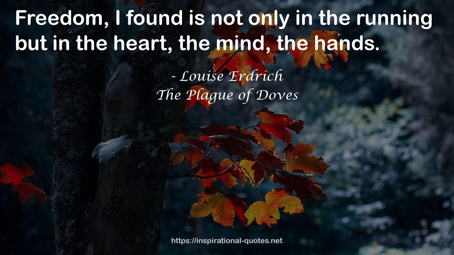 The Plague of Doves QUOTES