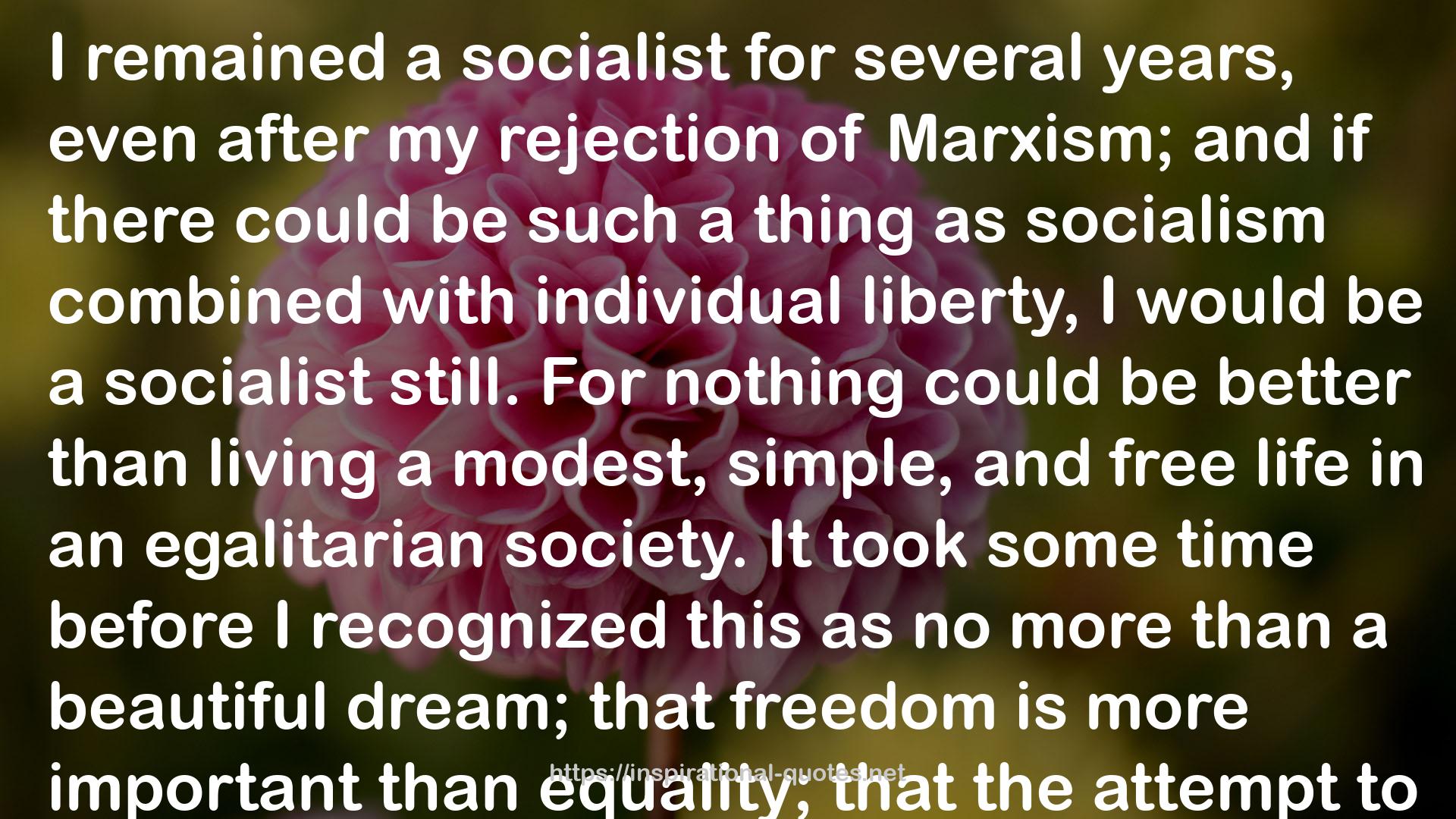 a socialist  QUOTES