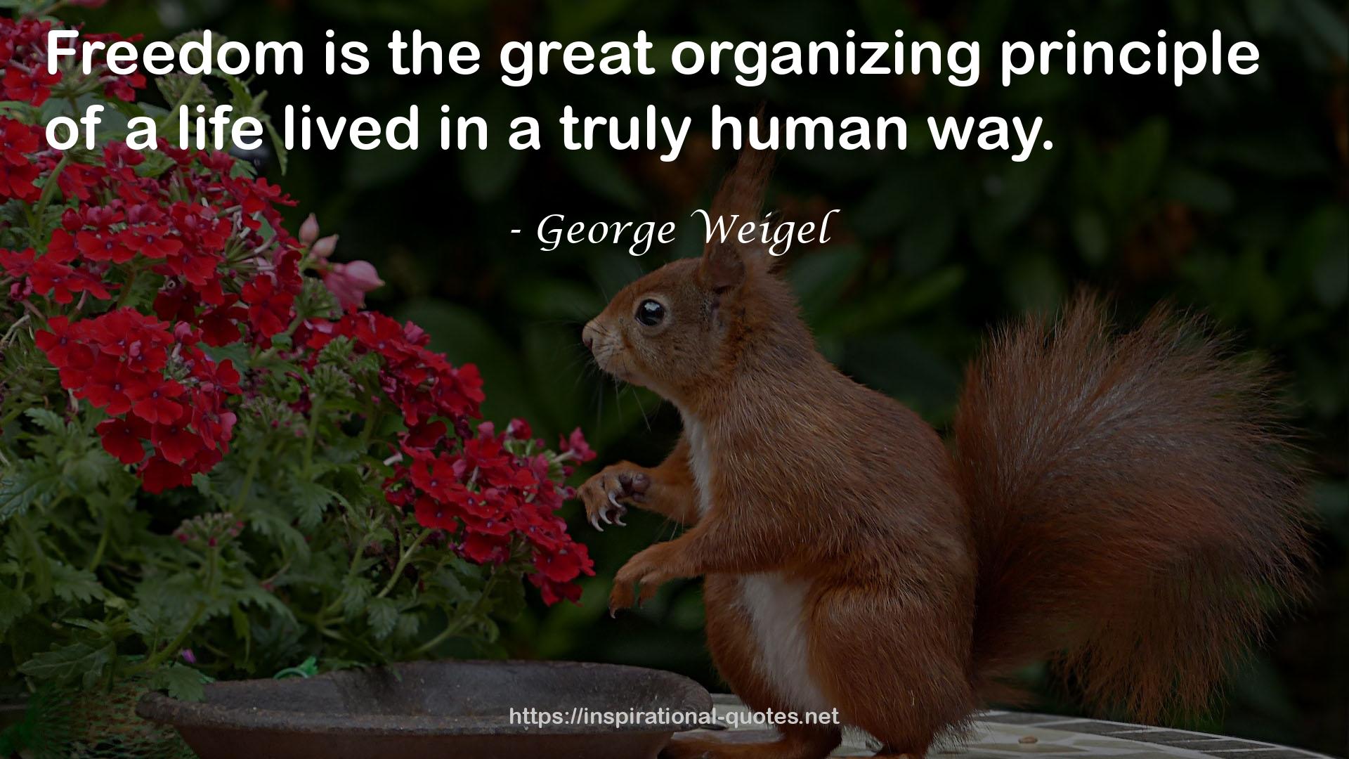 the great organizing principle  QUOTES