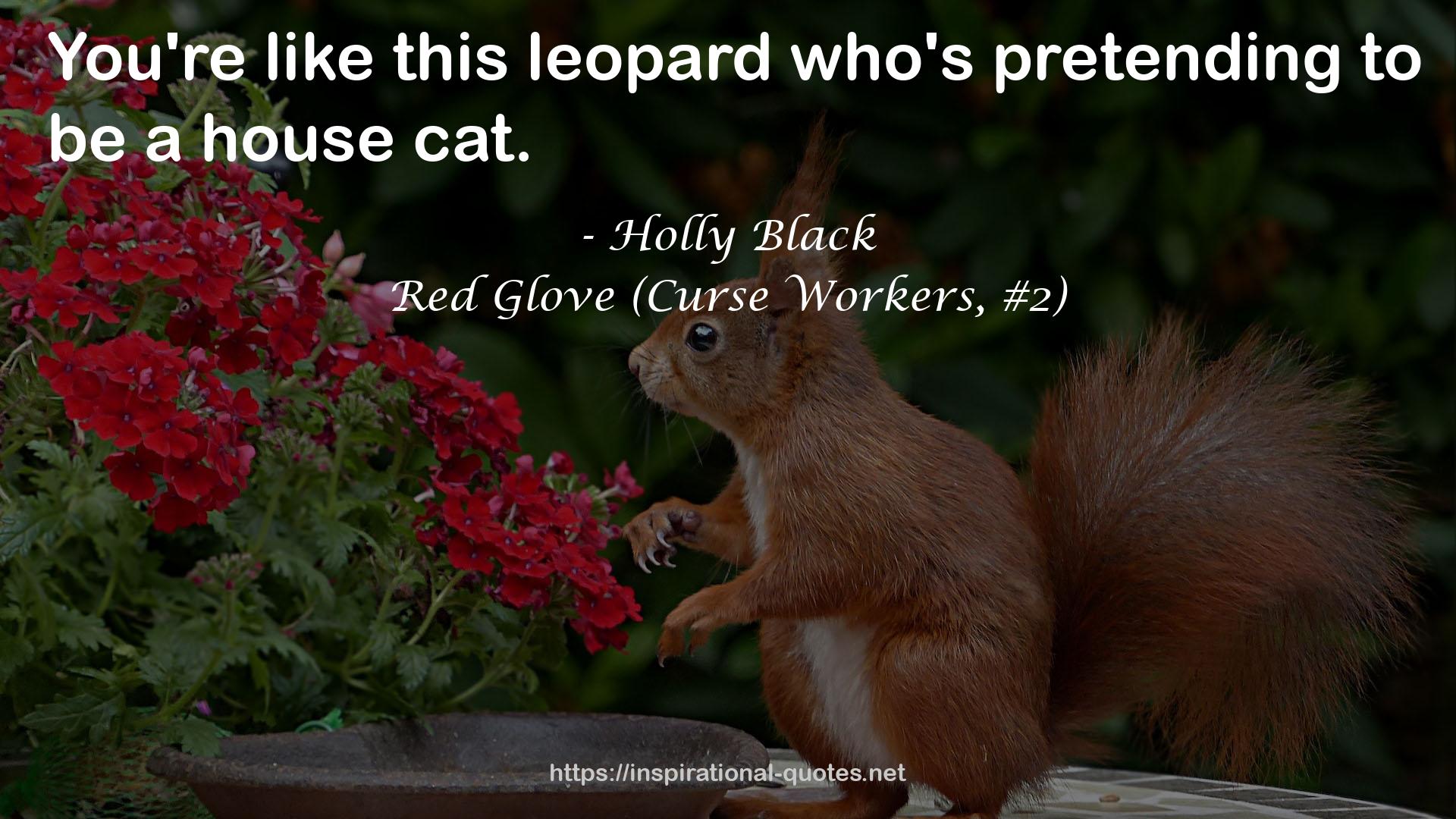 Red Glove (Curse Workers, #2) QUOTES