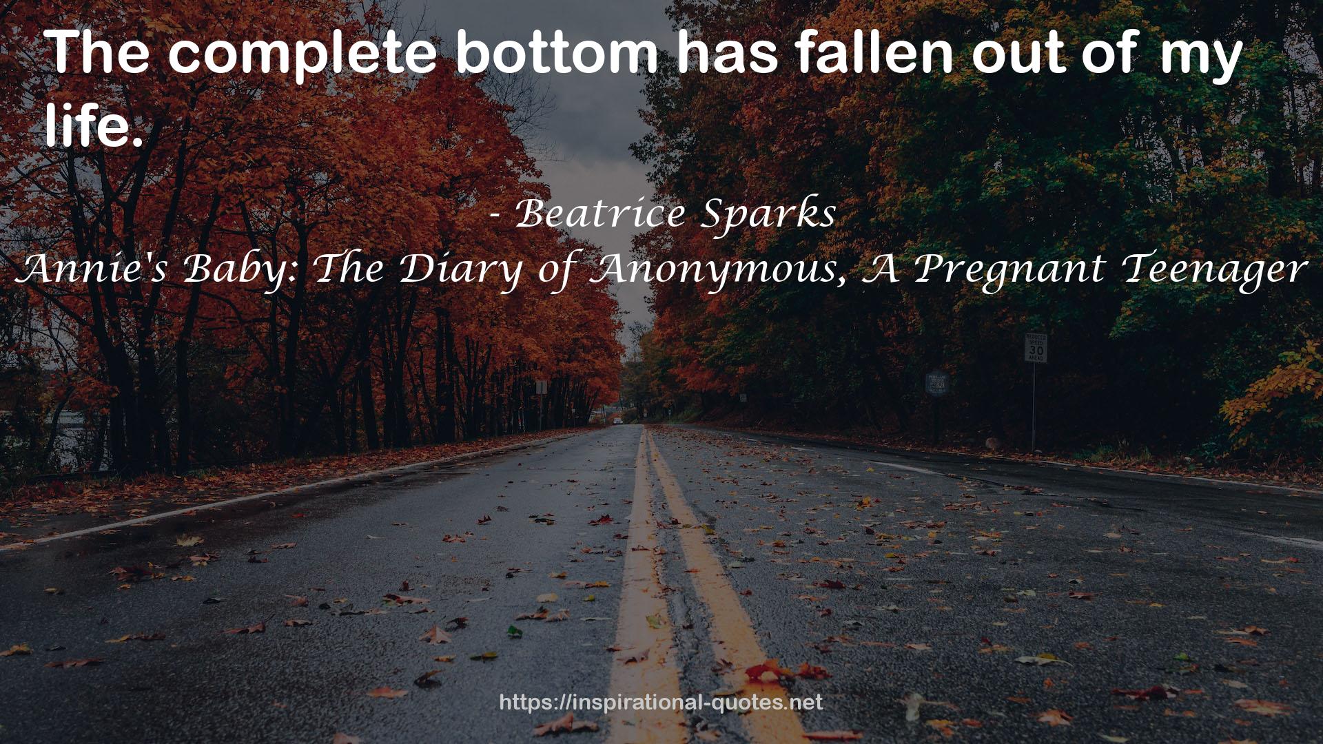 Annie's Baby: The Diary of Anonymous, A Pregnant Teenager QUOTES