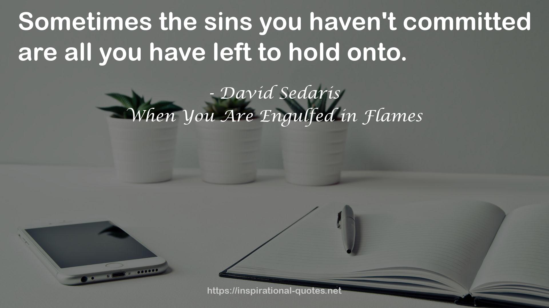 the sins  QUOTES