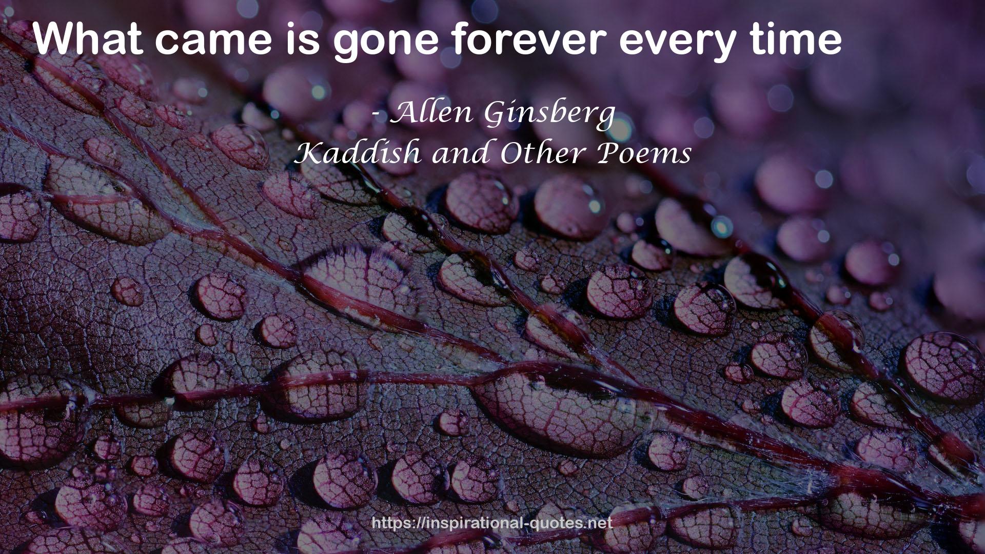 Allen Ginsberg QUOTES