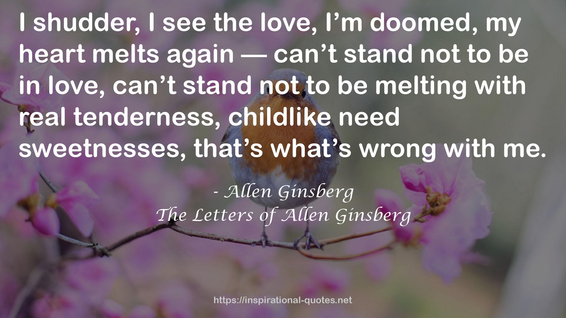 The Letters of Allen Ginsberg QUOTES