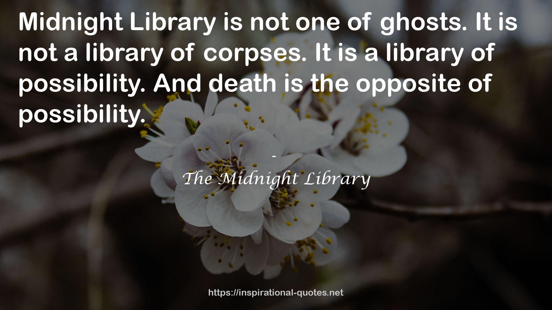 The Midnight Library QUOTES