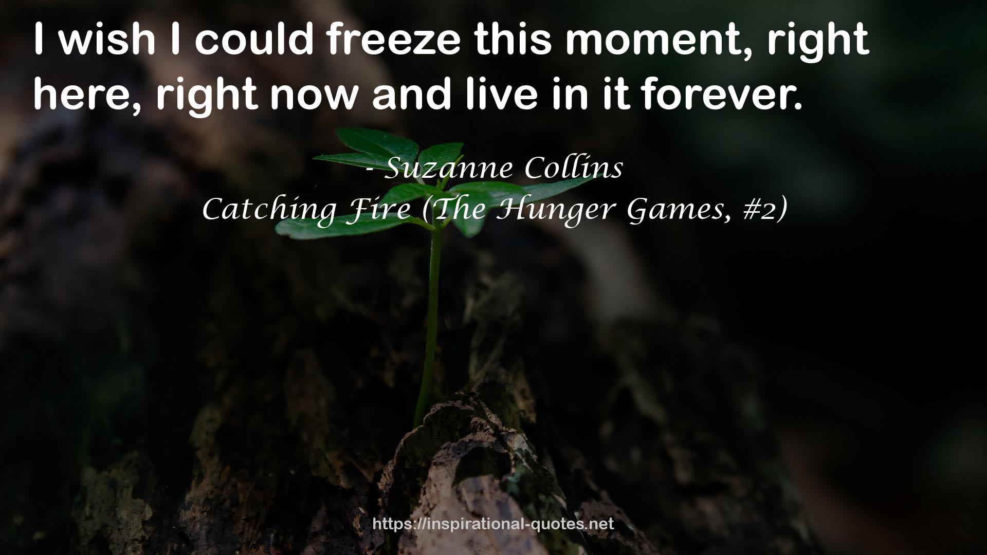 Catching Fire (The Hunger Games, #2) QUOTES