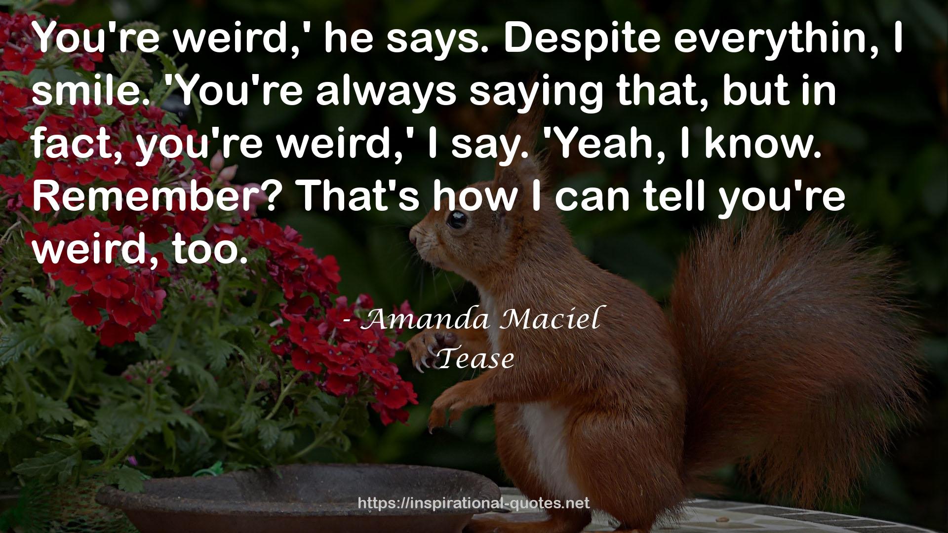 Amanda Maciel QUOTES