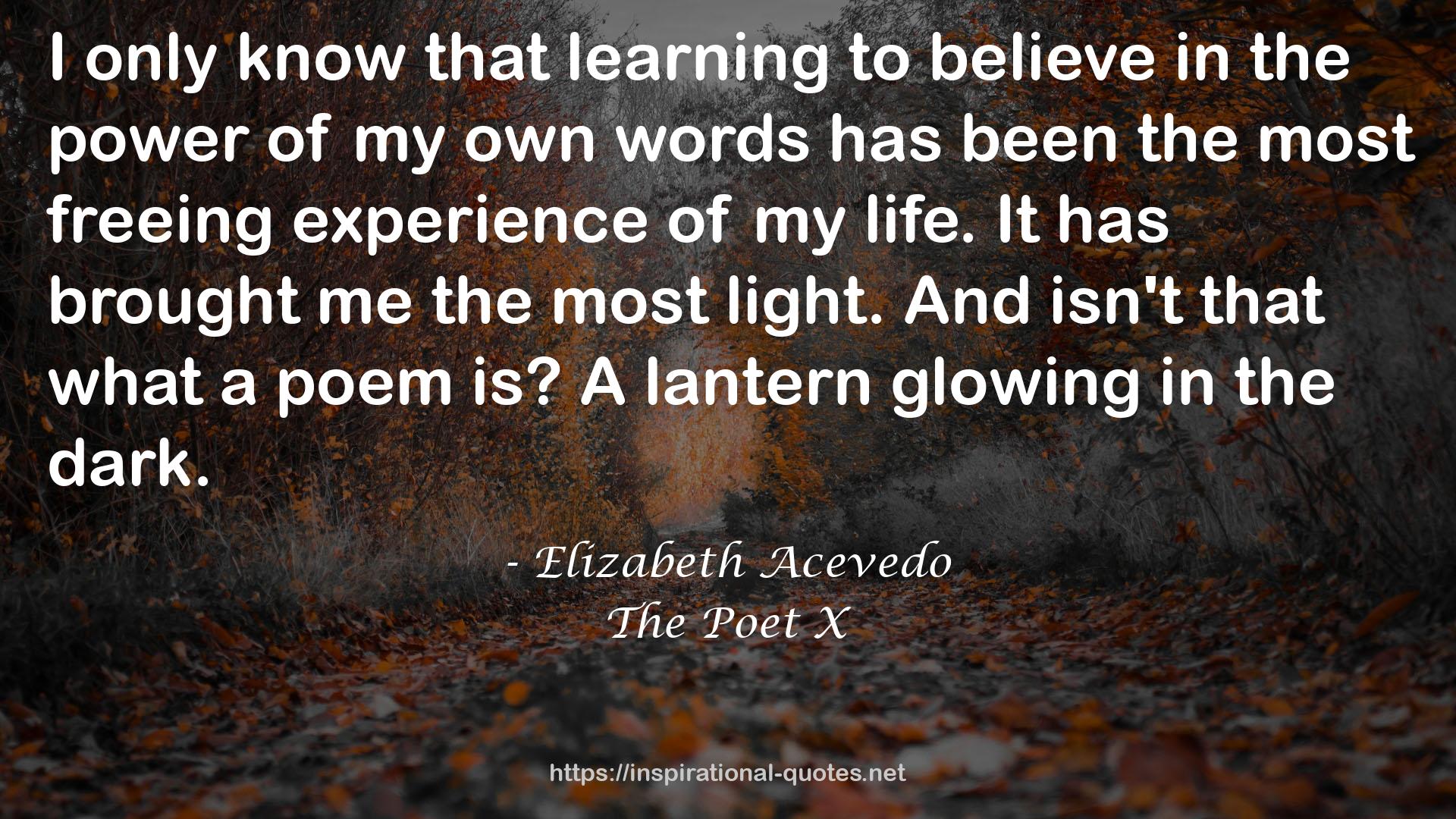 The Poet X QUOTES