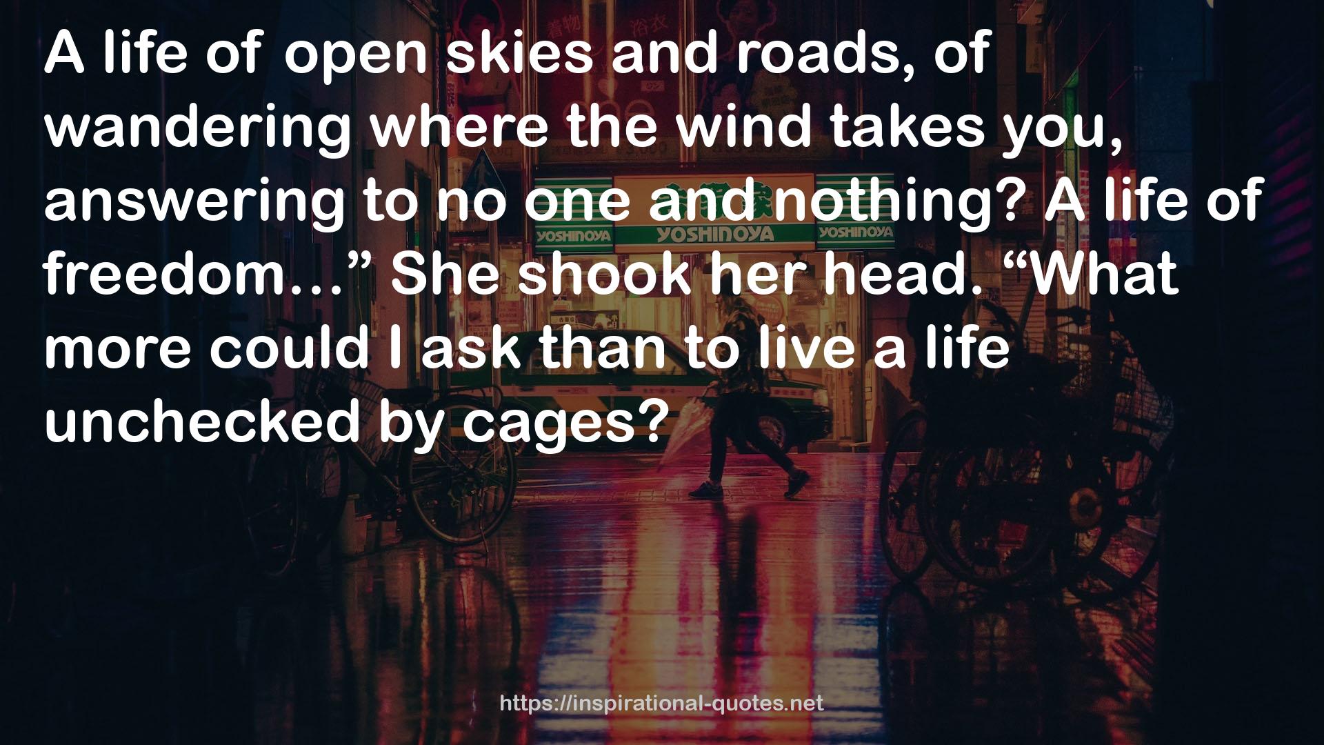 open skies  QUOTES