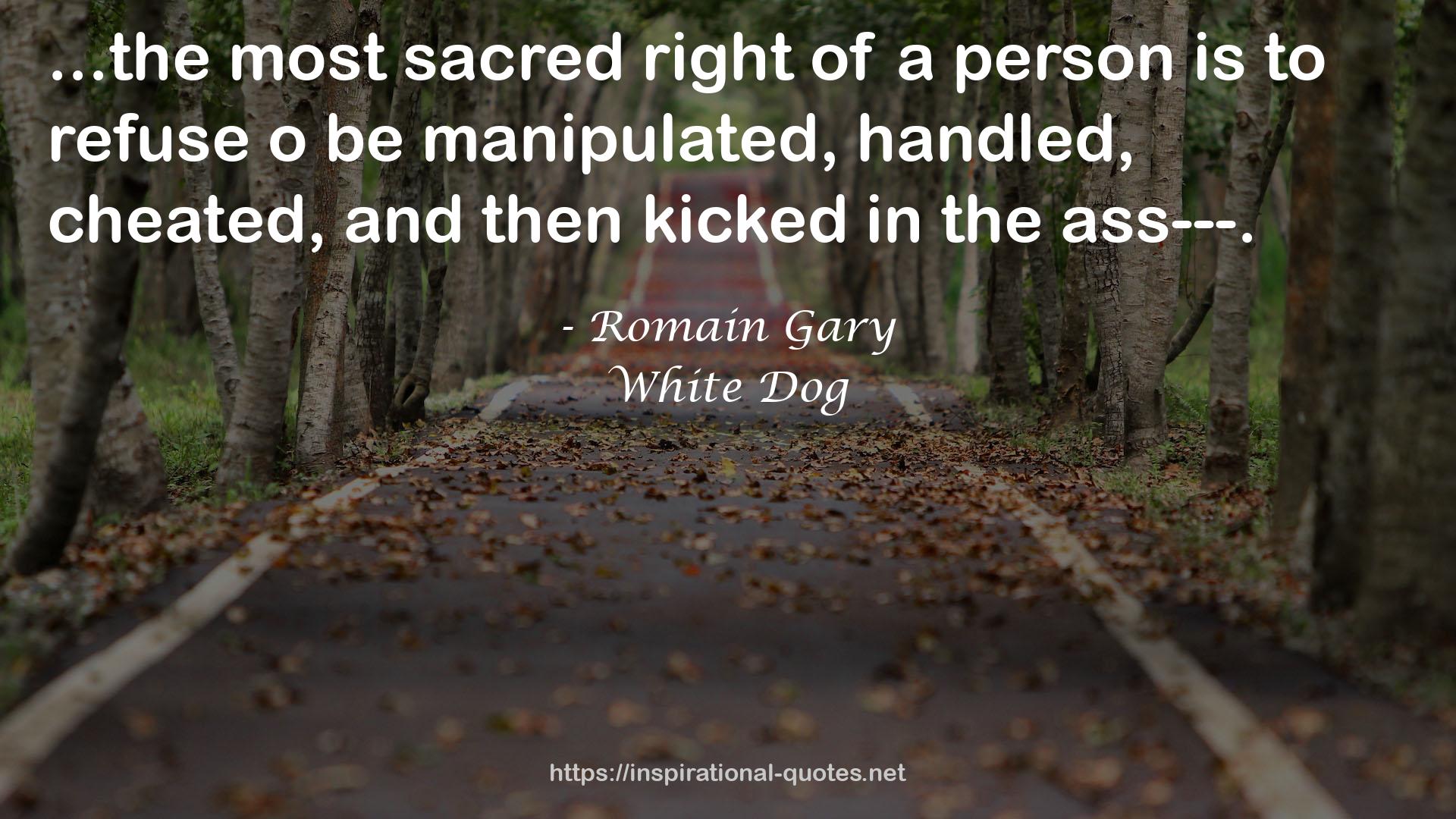 White Dog QUOTES