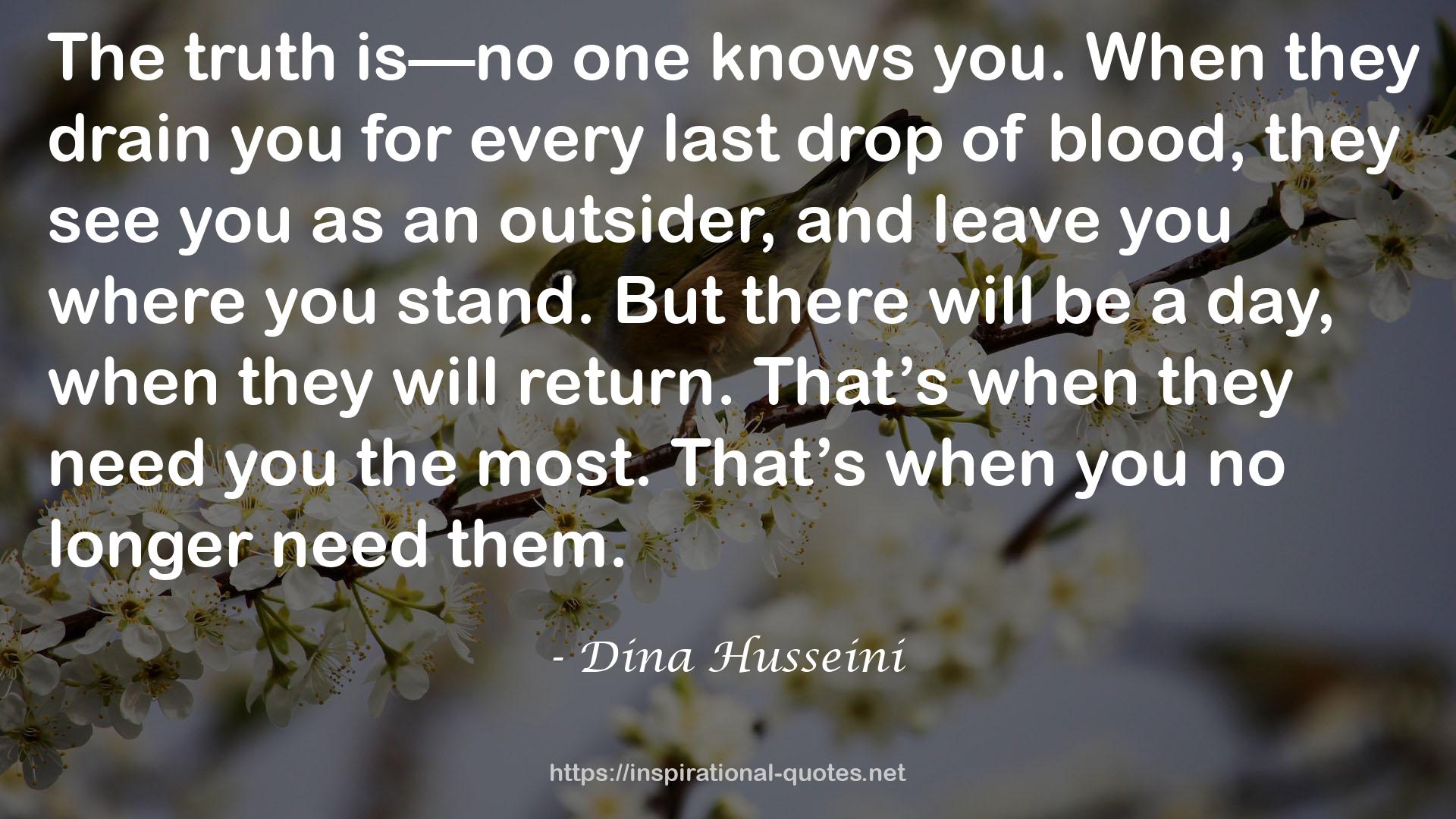 Dina Husseini QUOTES