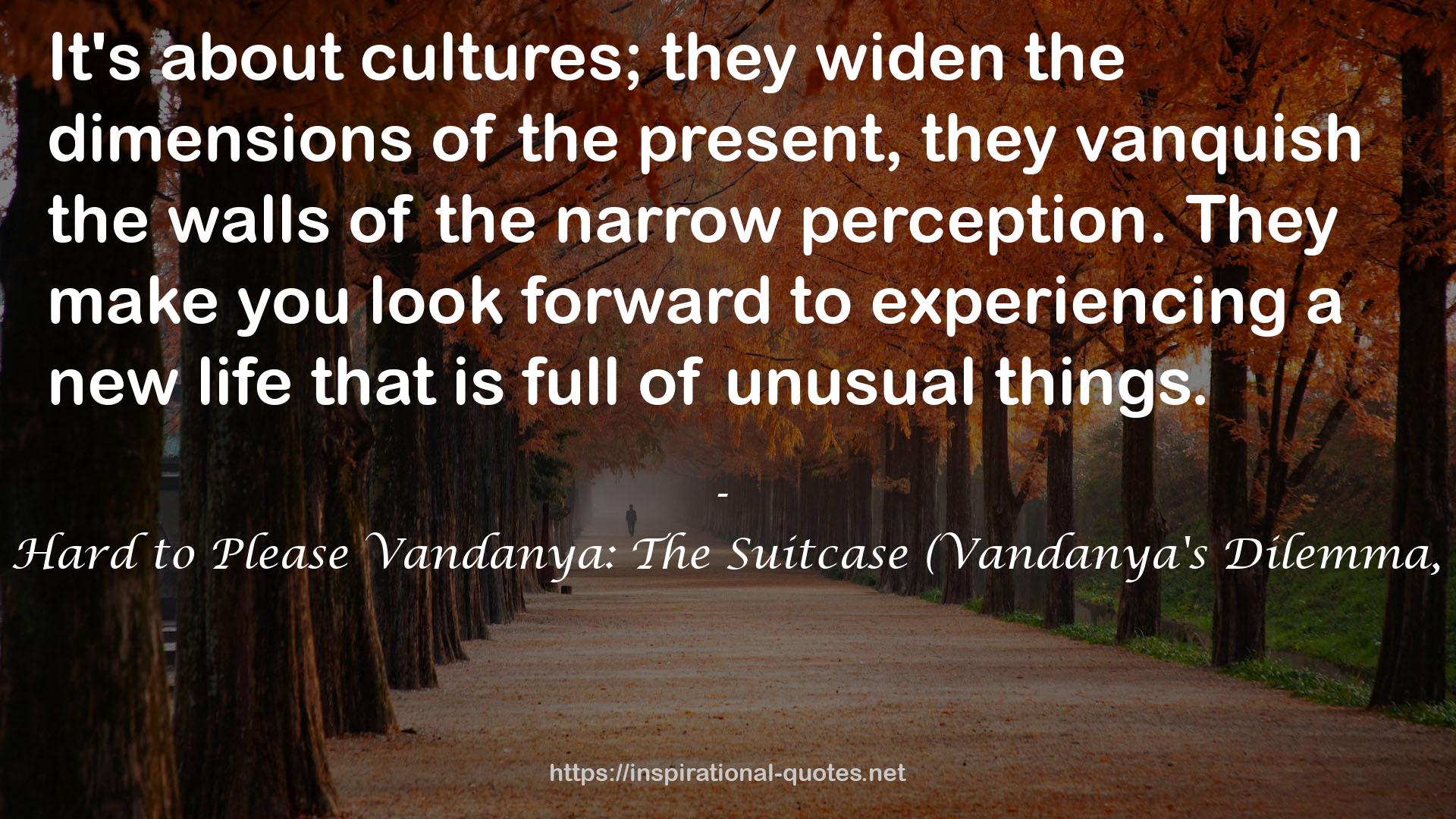 It's Hard to Please Vandanya: The Suitcase (Vandanya's Dilemma, #4) QUOTES