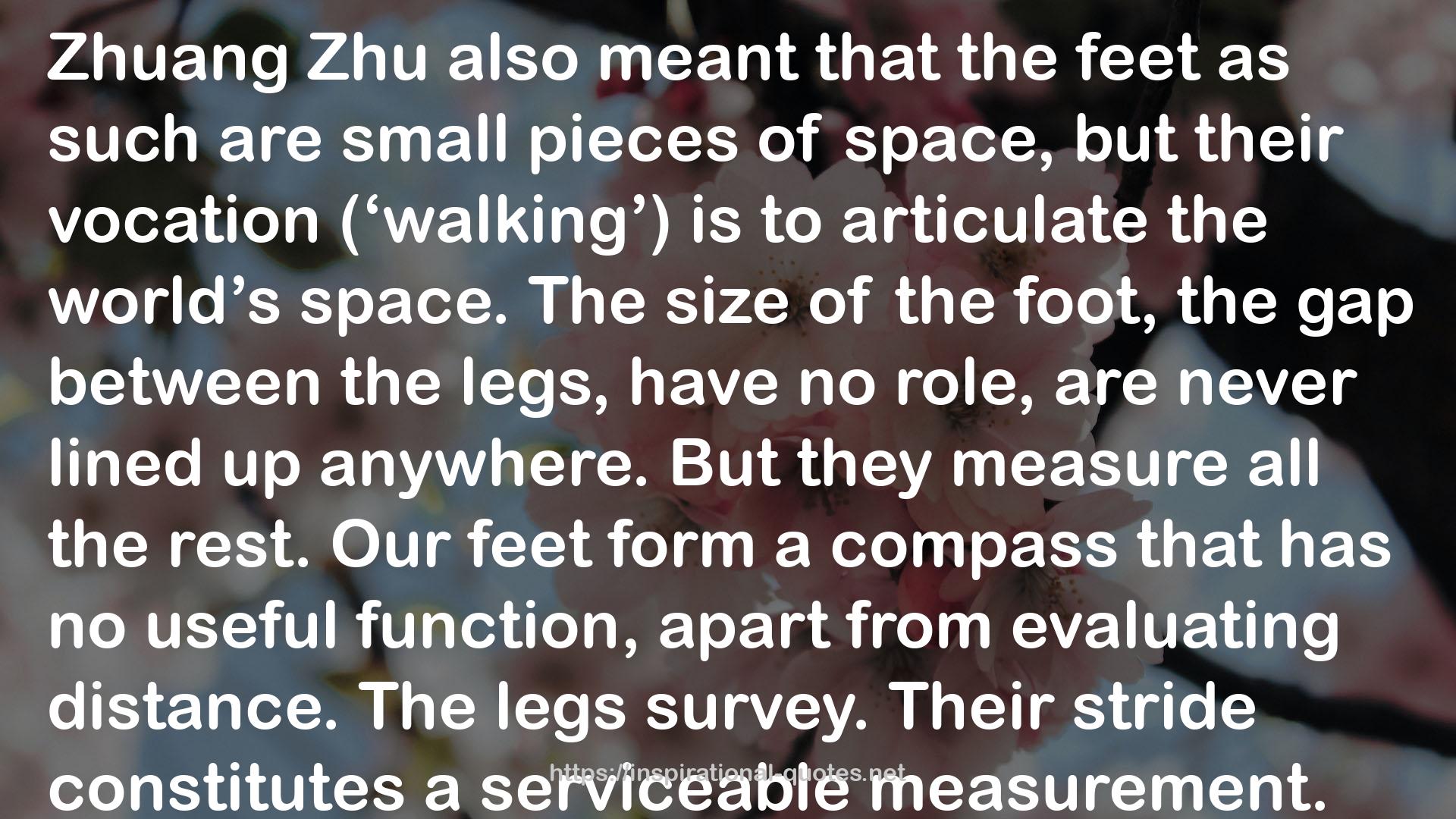 Zhu  QUOTES