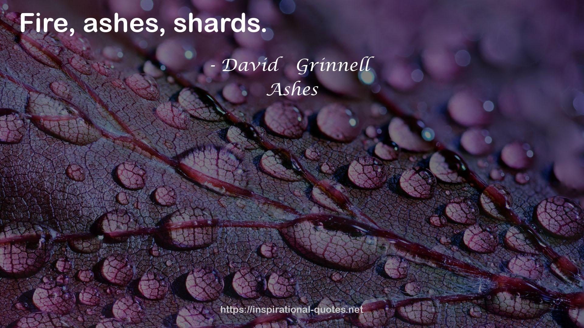 David   Grinnell QUOTES