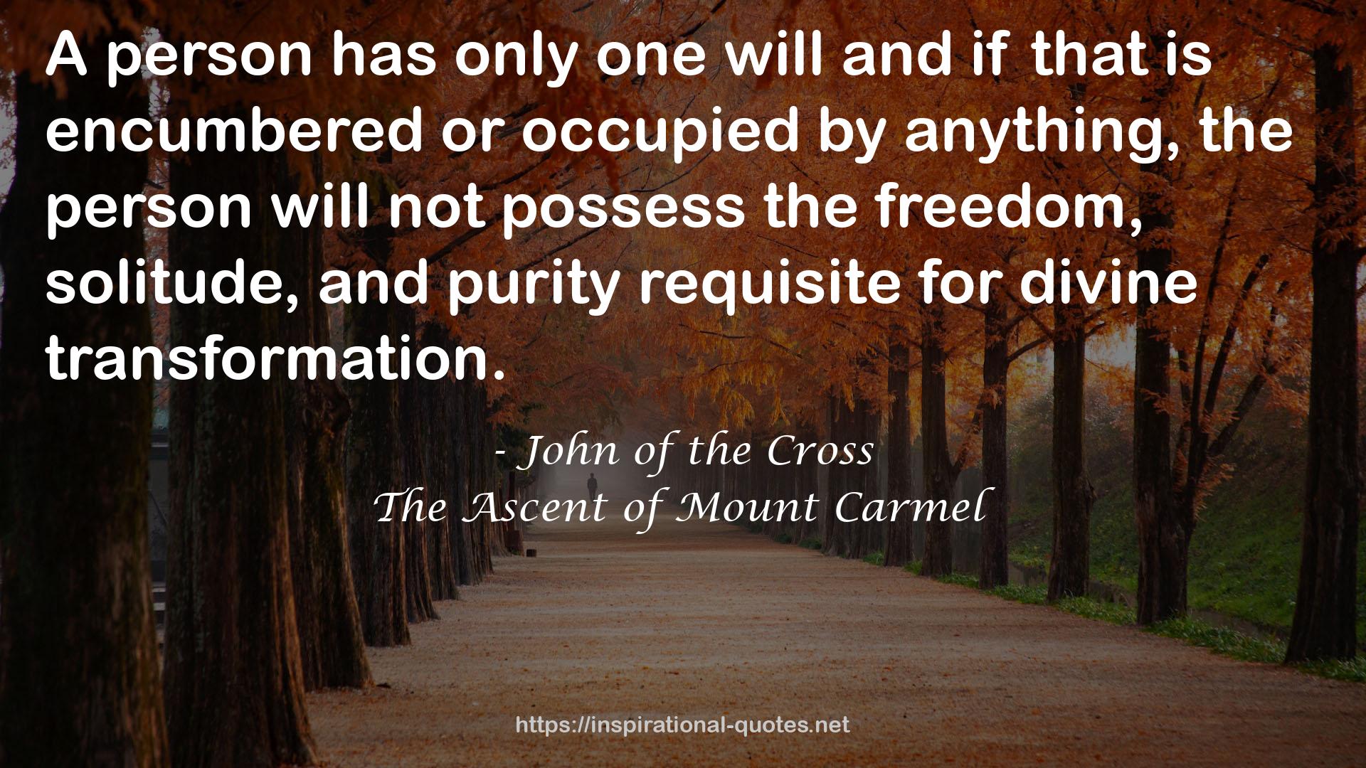 The Ascent of Mount Carmel QUOTES