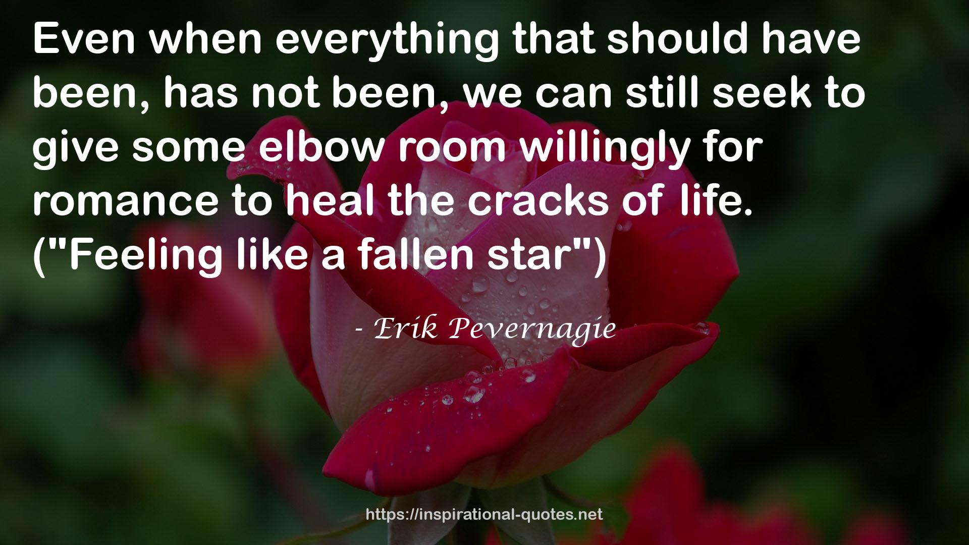 Erik Pevernagie QUOTES