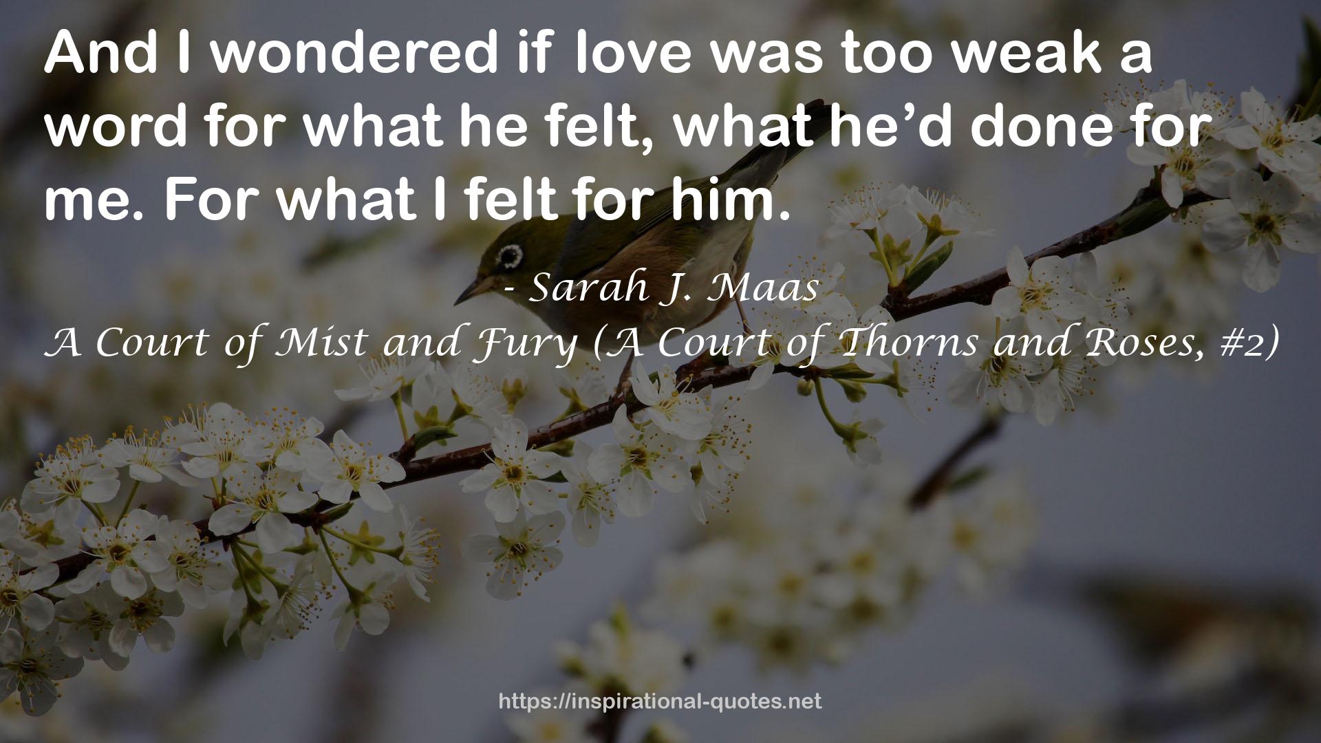 A Court of Mist and Fury (A Court of Thorns and Roses, #2) QUOTES
