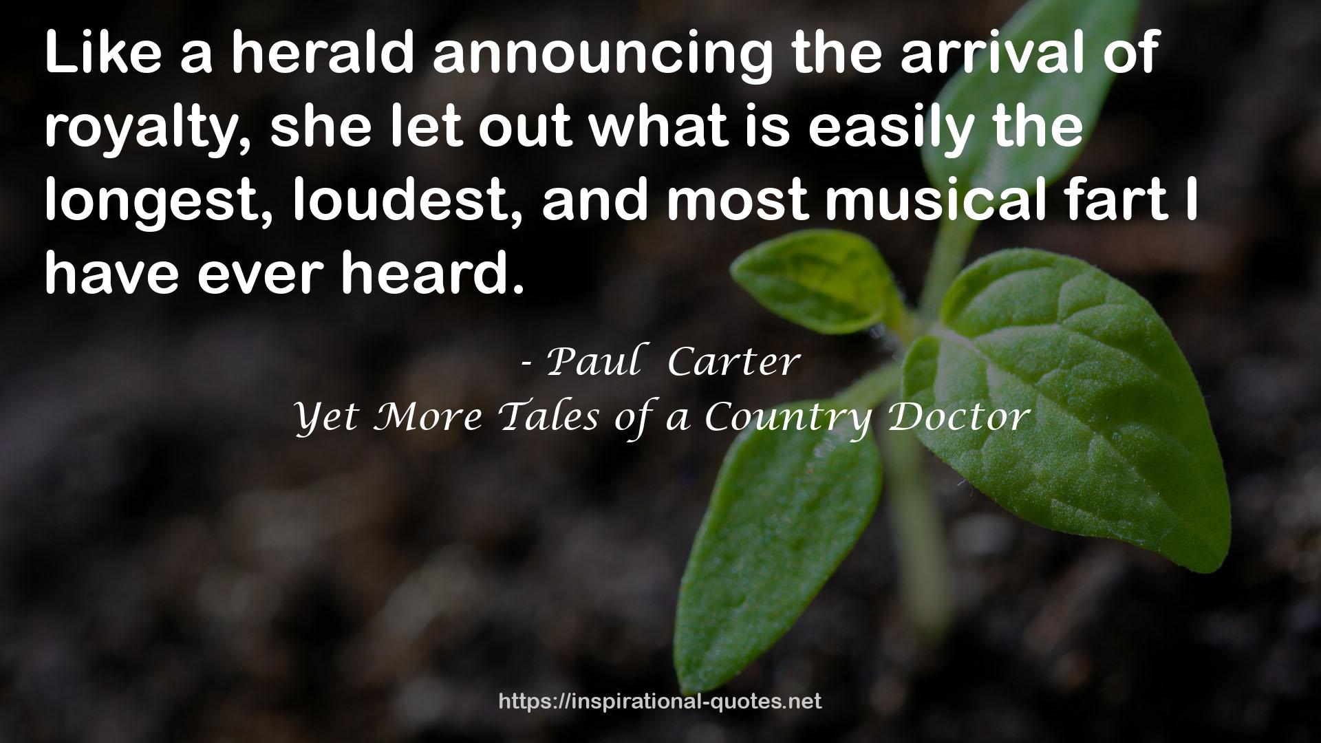 Paul  Carter QUOTES