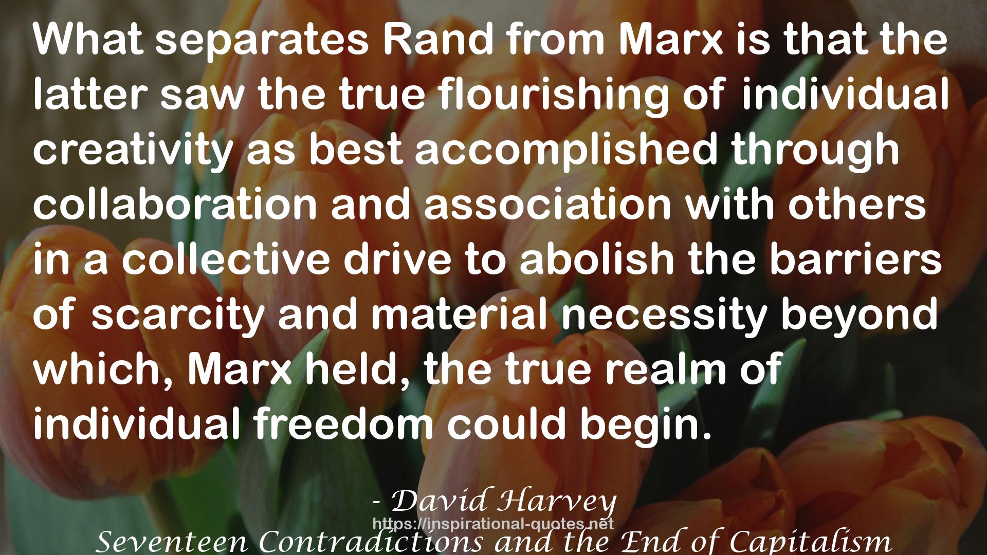 David Harvey QUOTES