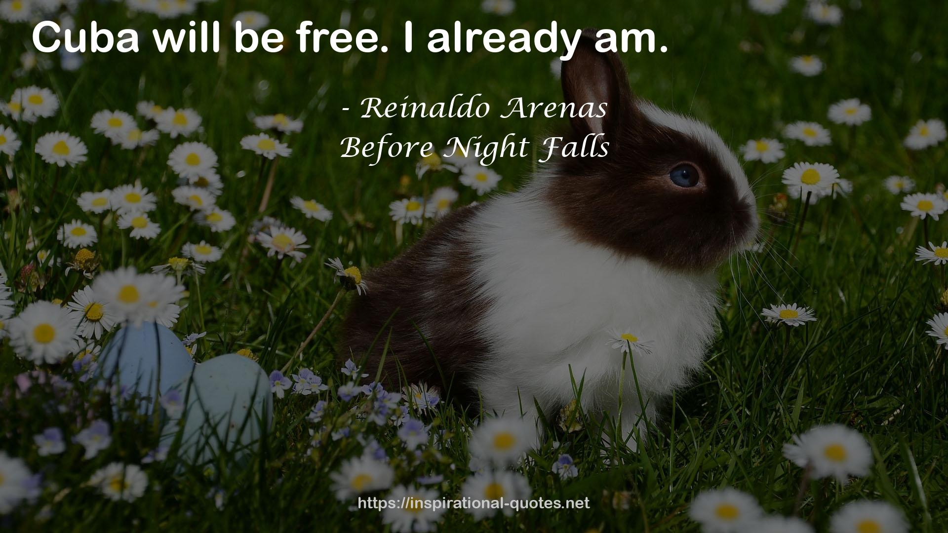 Reinaldo Arenas QUOTES