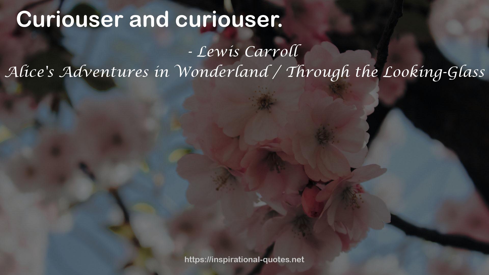 Curiouser  QUOTES
