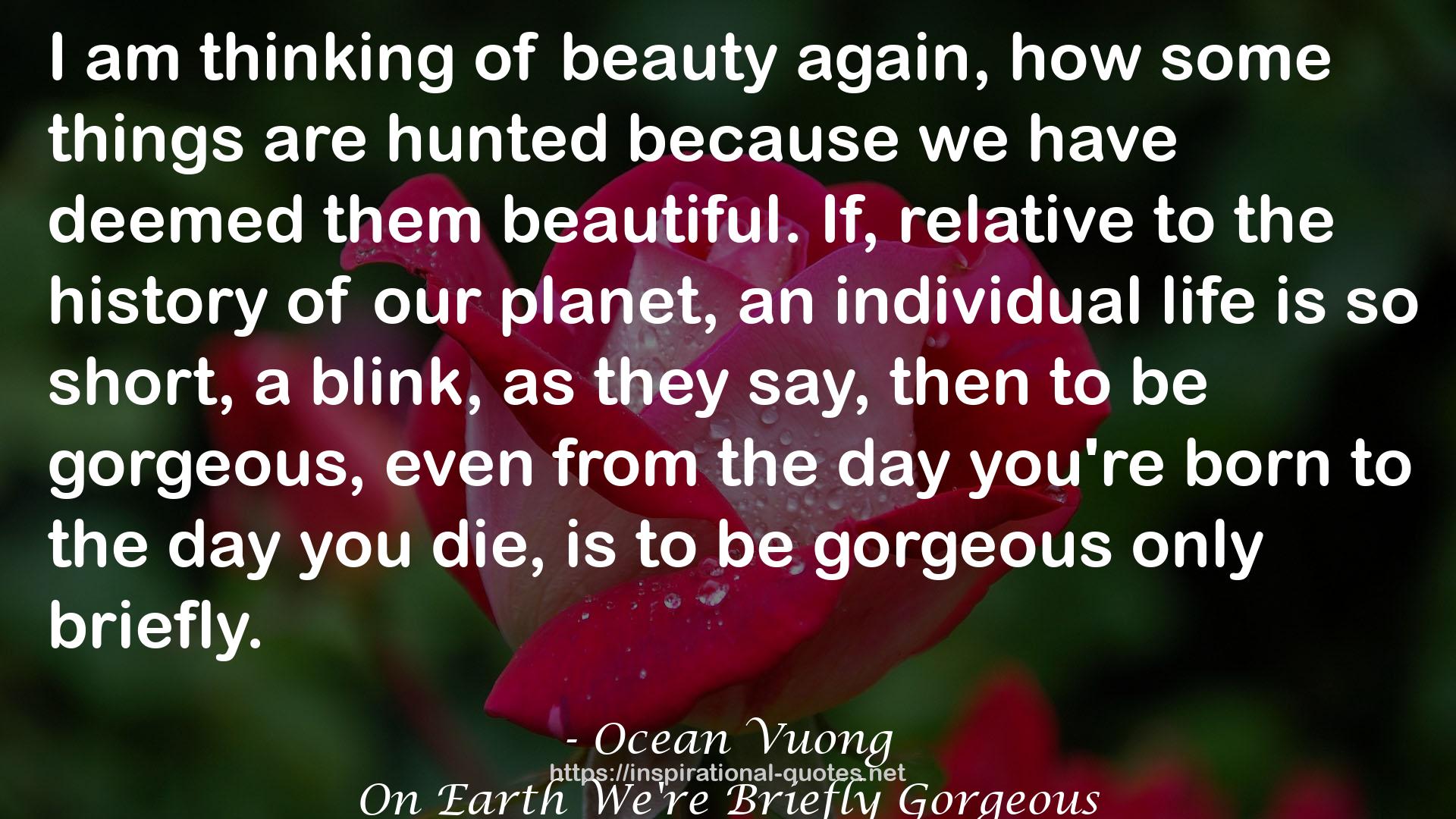 On Earth We're Briefly Gorgeous QUOTES