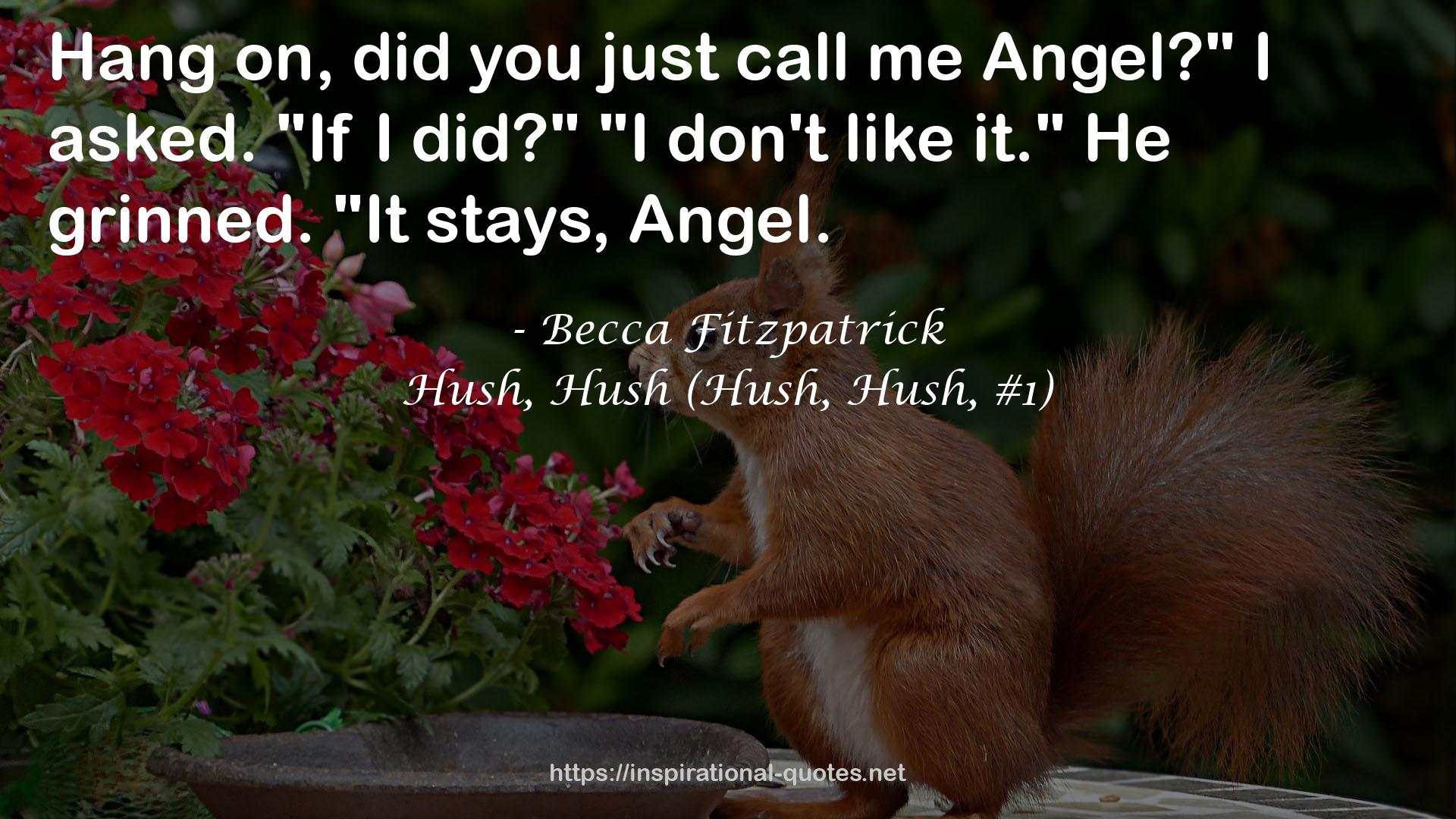 Hush, Hush (Hush, Hush, #1) QUOTES