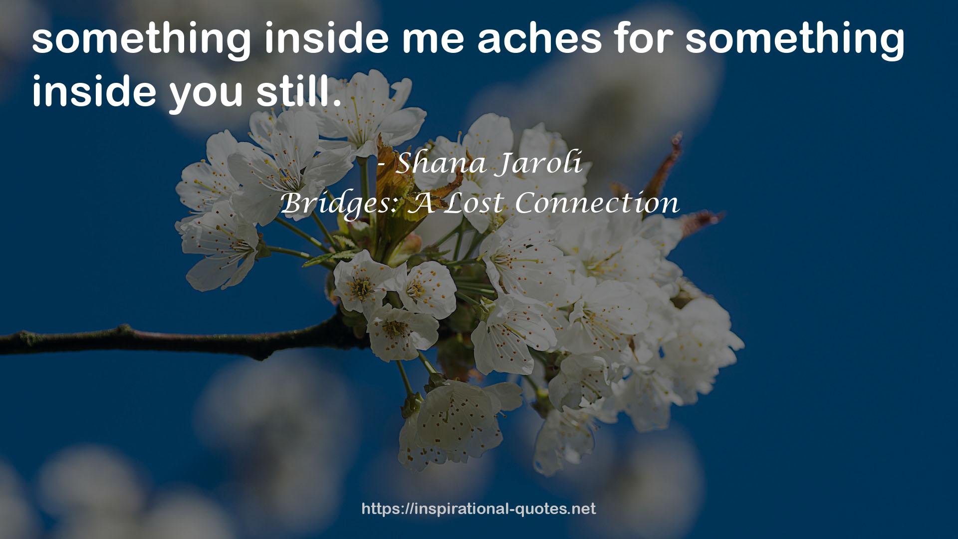 Bridges: A Lost Connection QUOTES