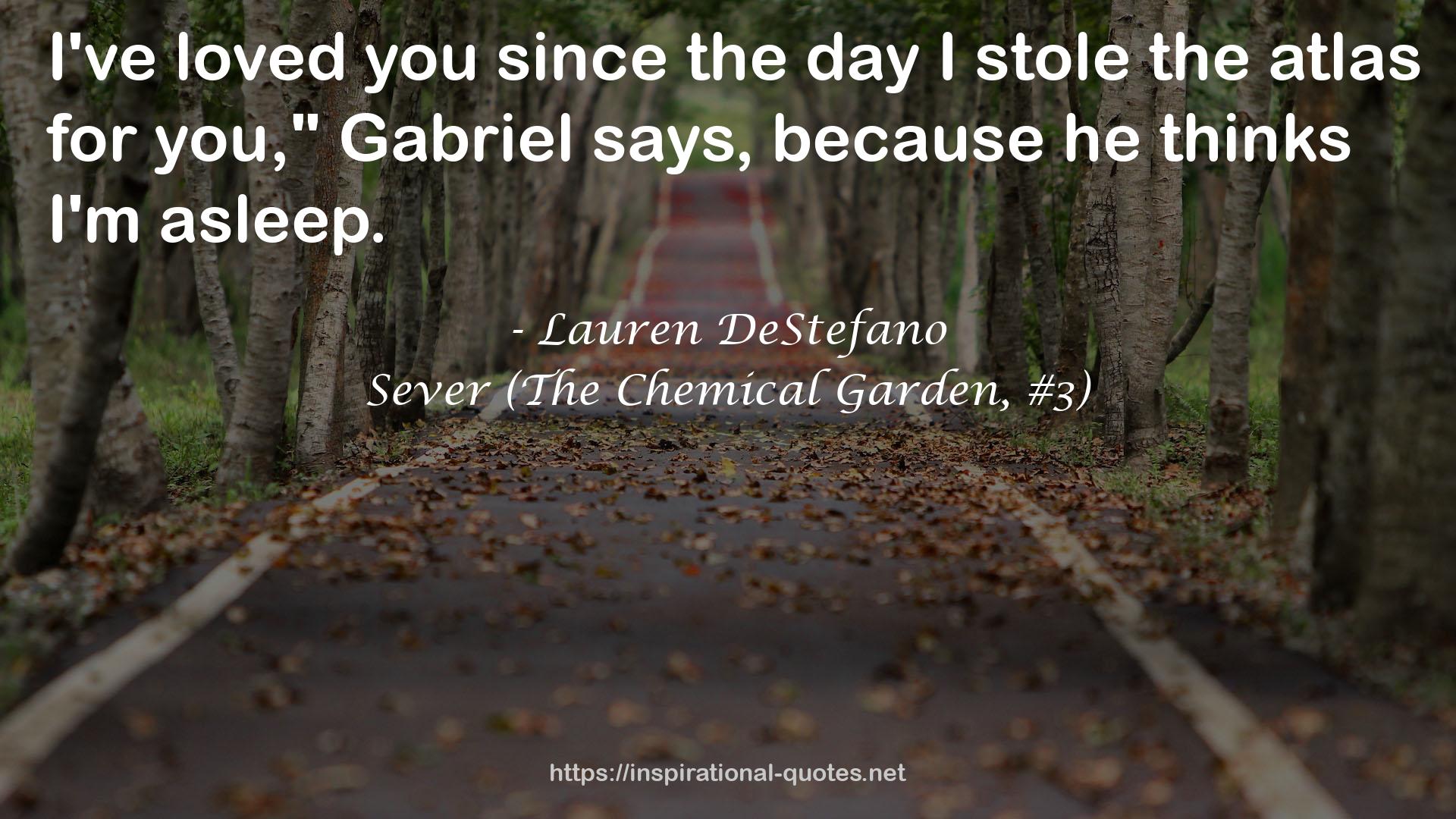 Lauren DeStefano QUOTES