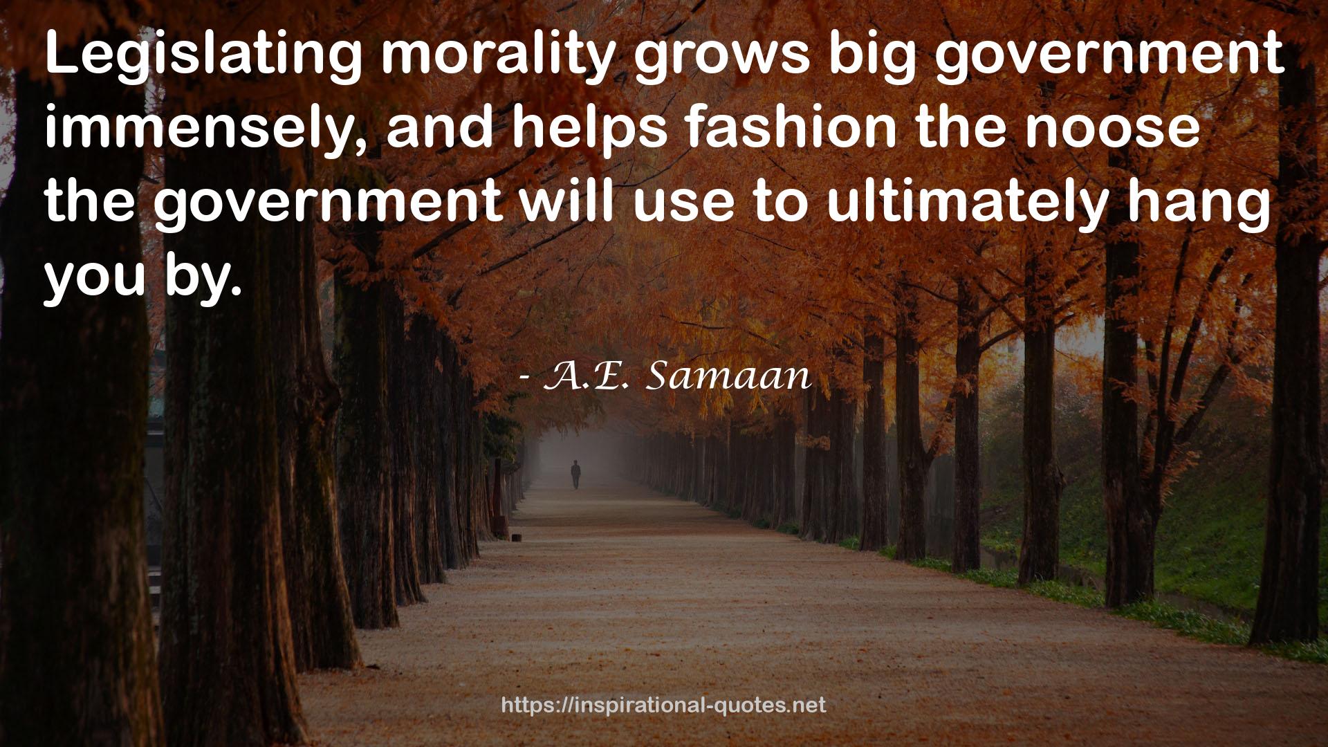 Big Government  QUOTES