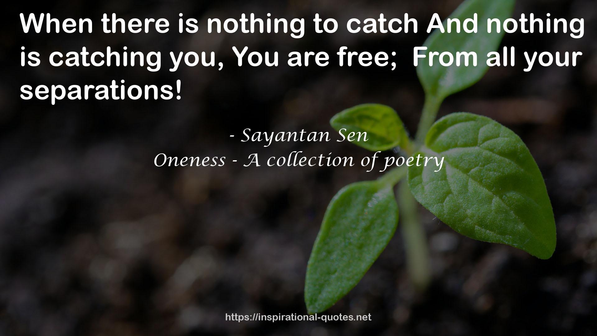 Oneness - A collection of poetry QUOTES