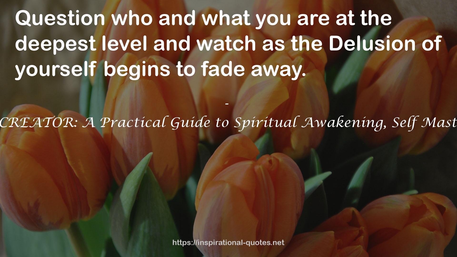 YOU ARE THE CREATOR: A Practical Guide to Spiritual Awakening, Self Mastery and Healing QUOTES